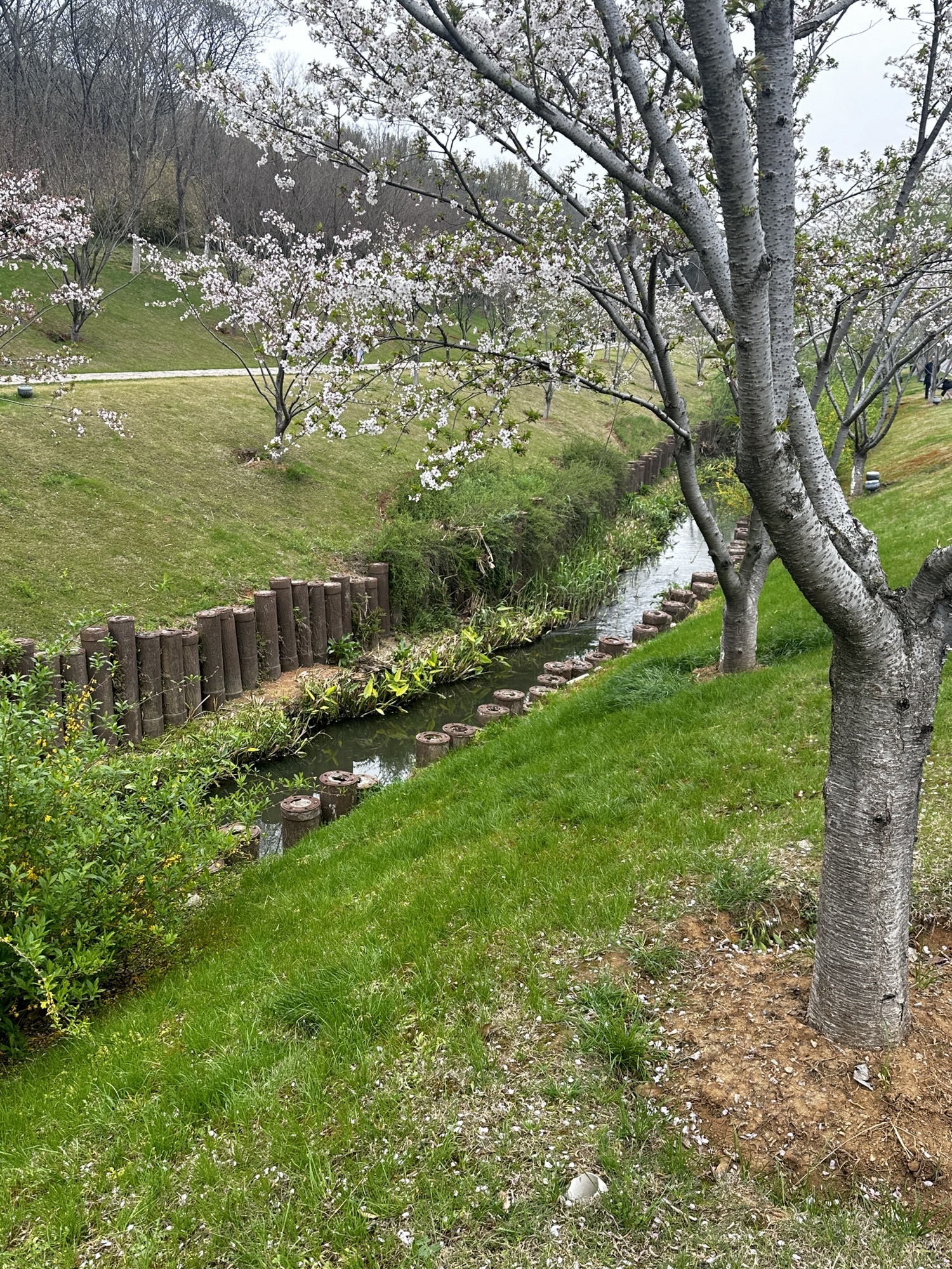 羊山公园旅行图片 3