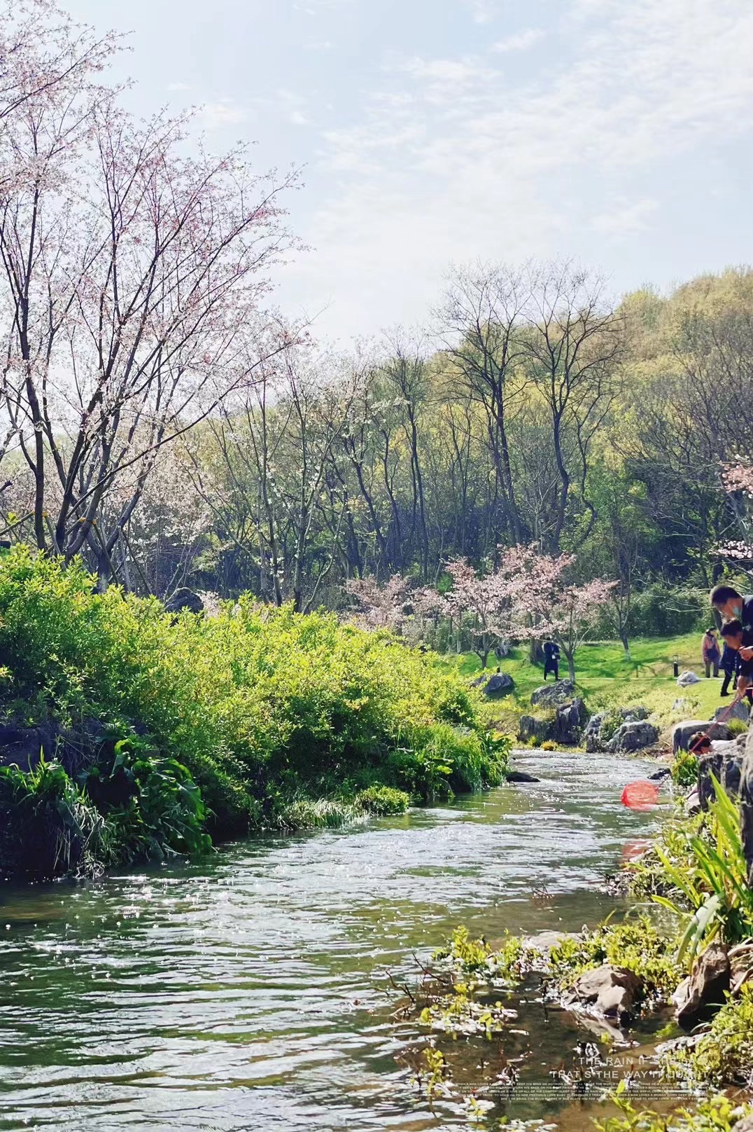 羊山公园旅行图片 3