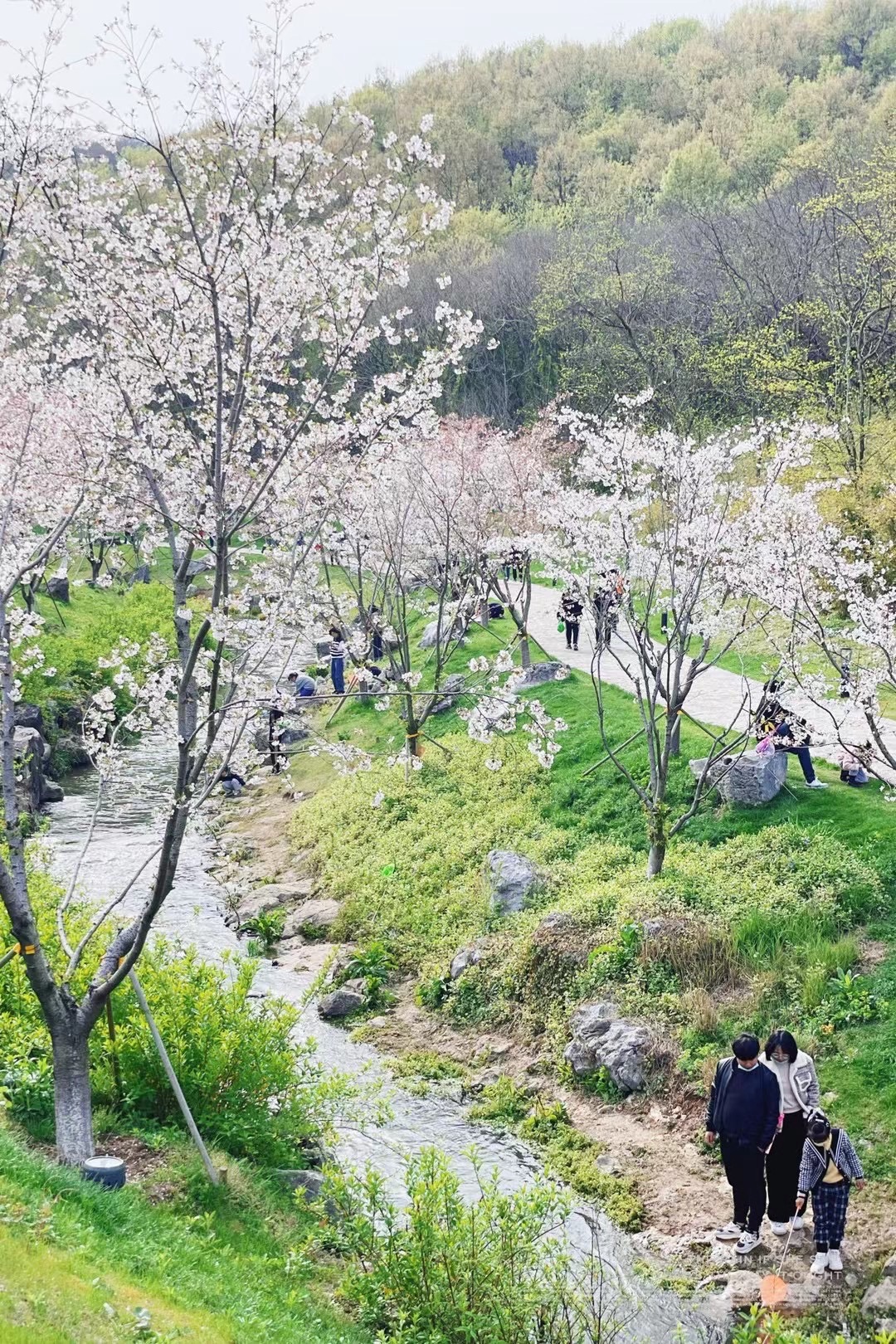 羊山公园旅行图片 1