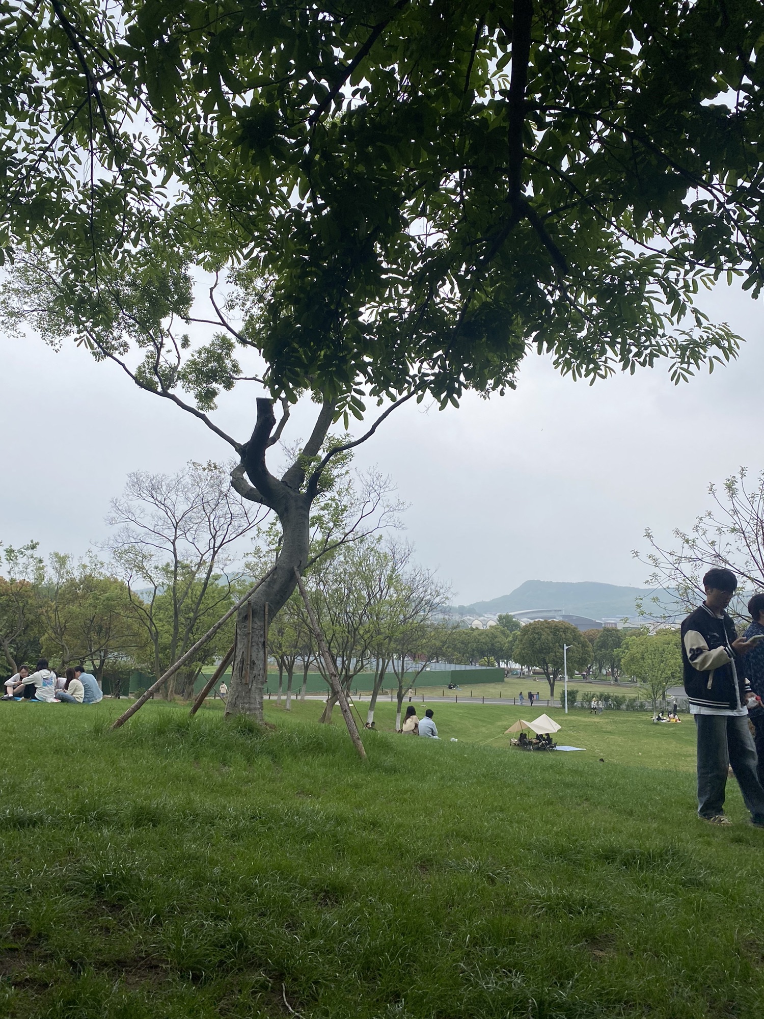 羊山公园旅行图片 2