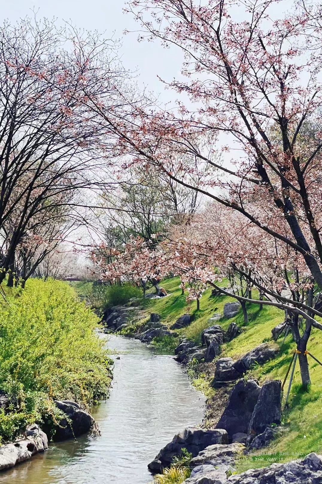 羊山公园旅行图片 2