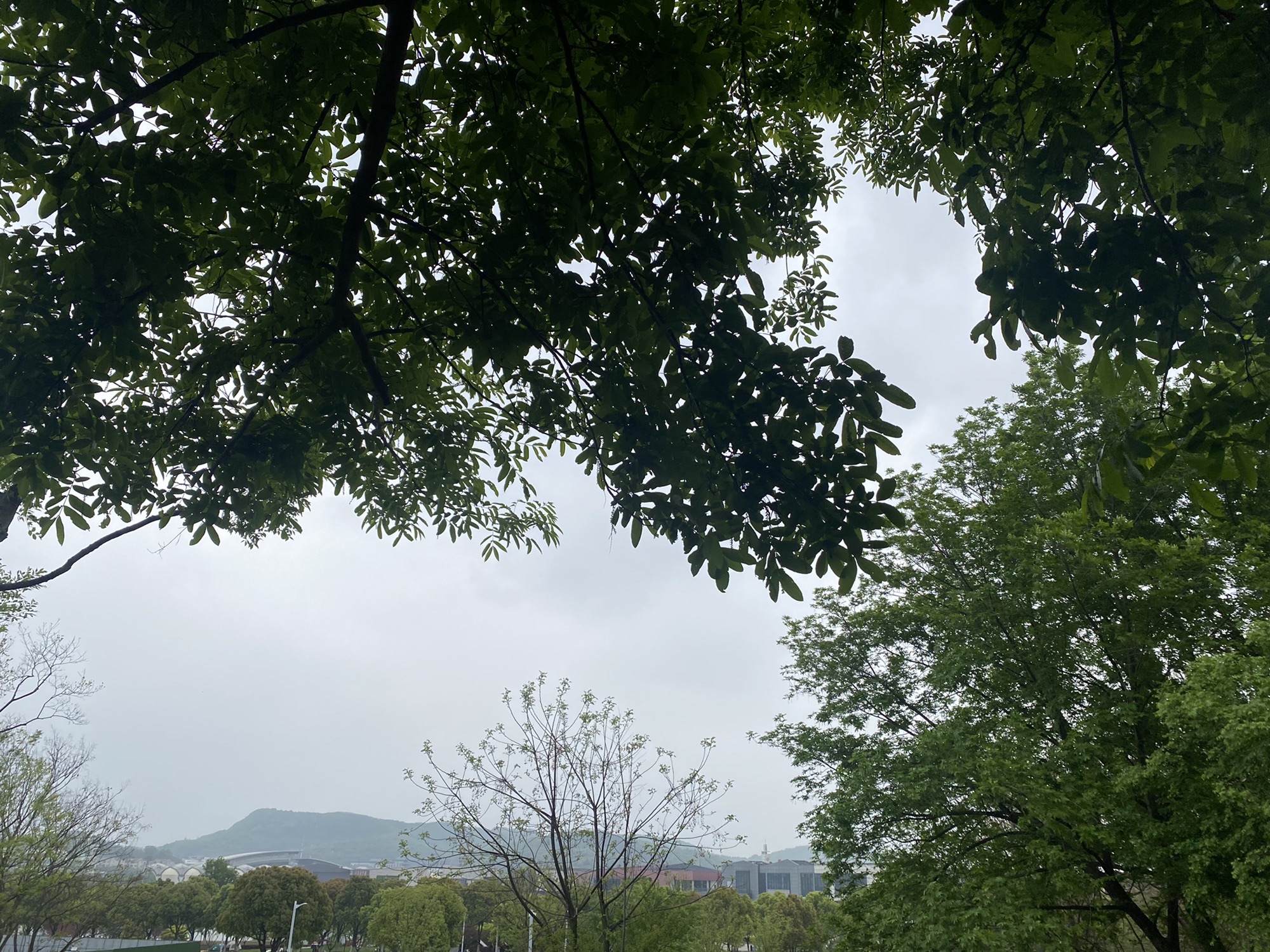 羊山公园旅行图片 1