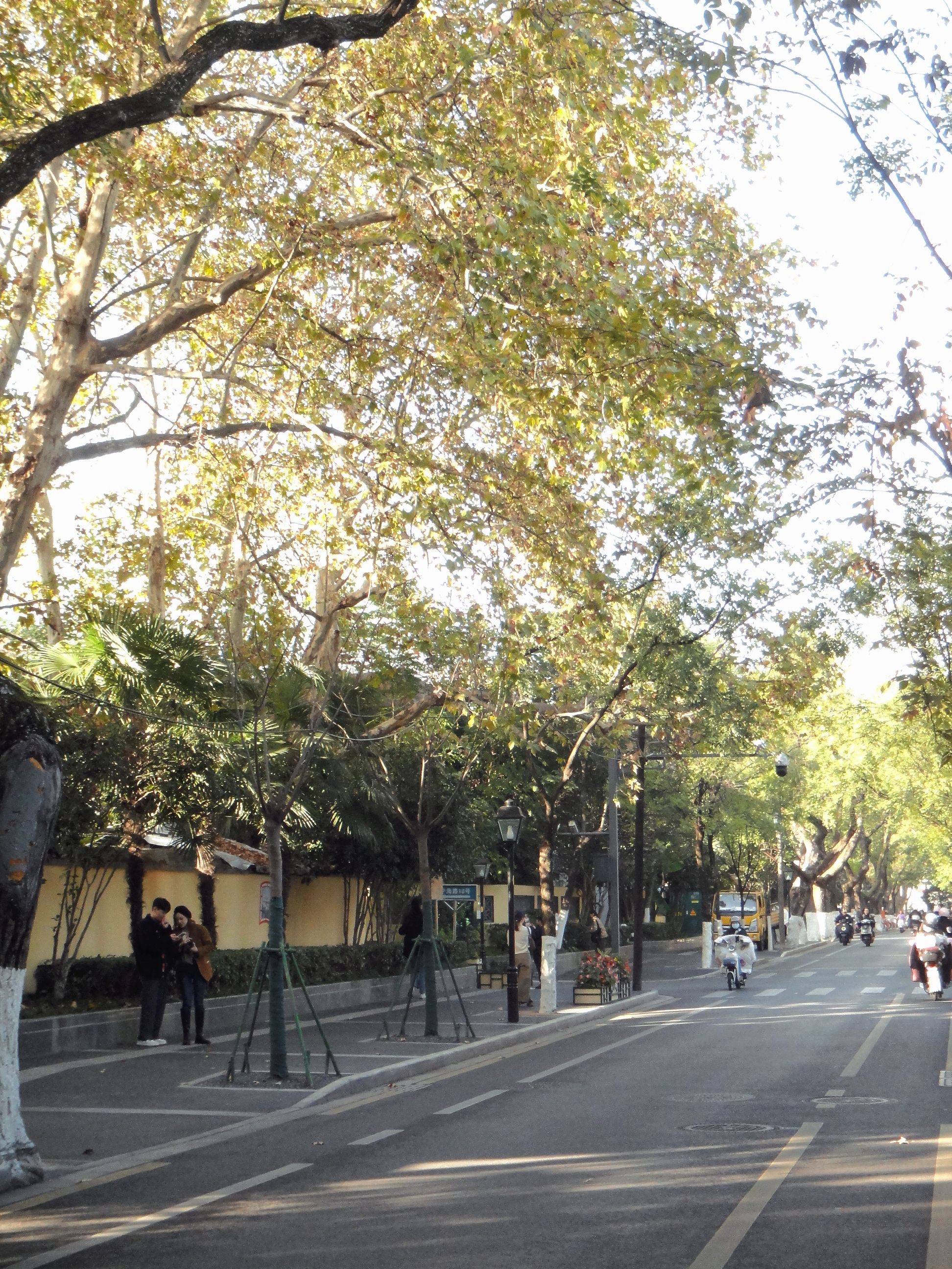 颐和路11号民国建筑旅行图片 2
