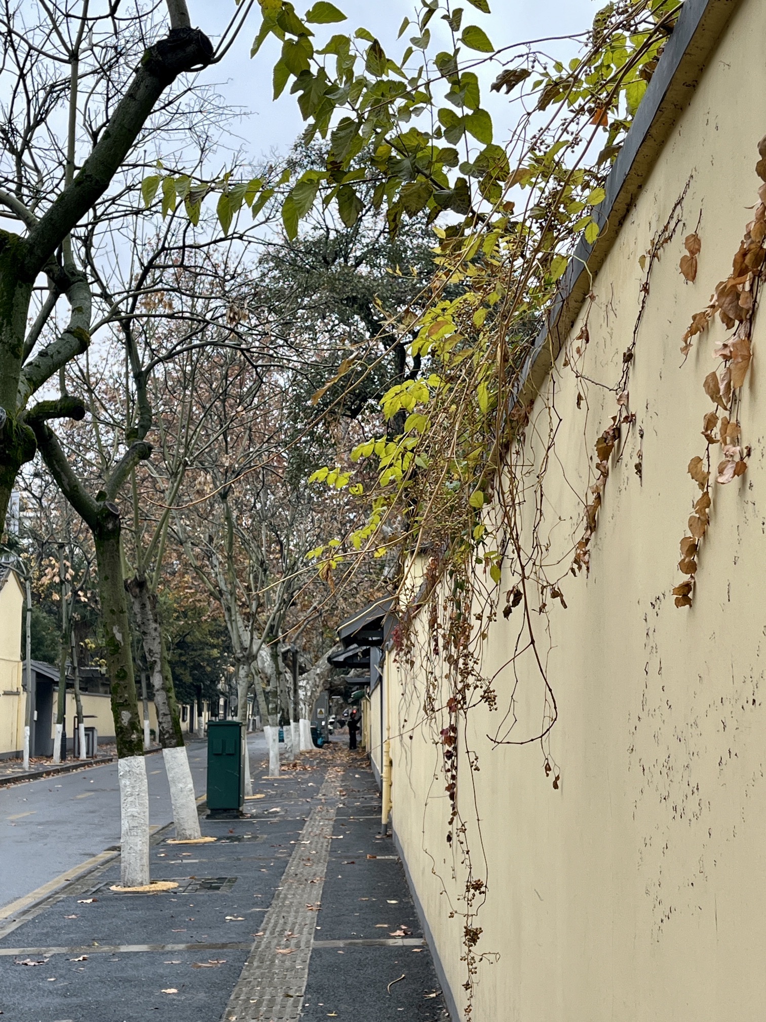 颐和路11号民国建筑旅行图片 3