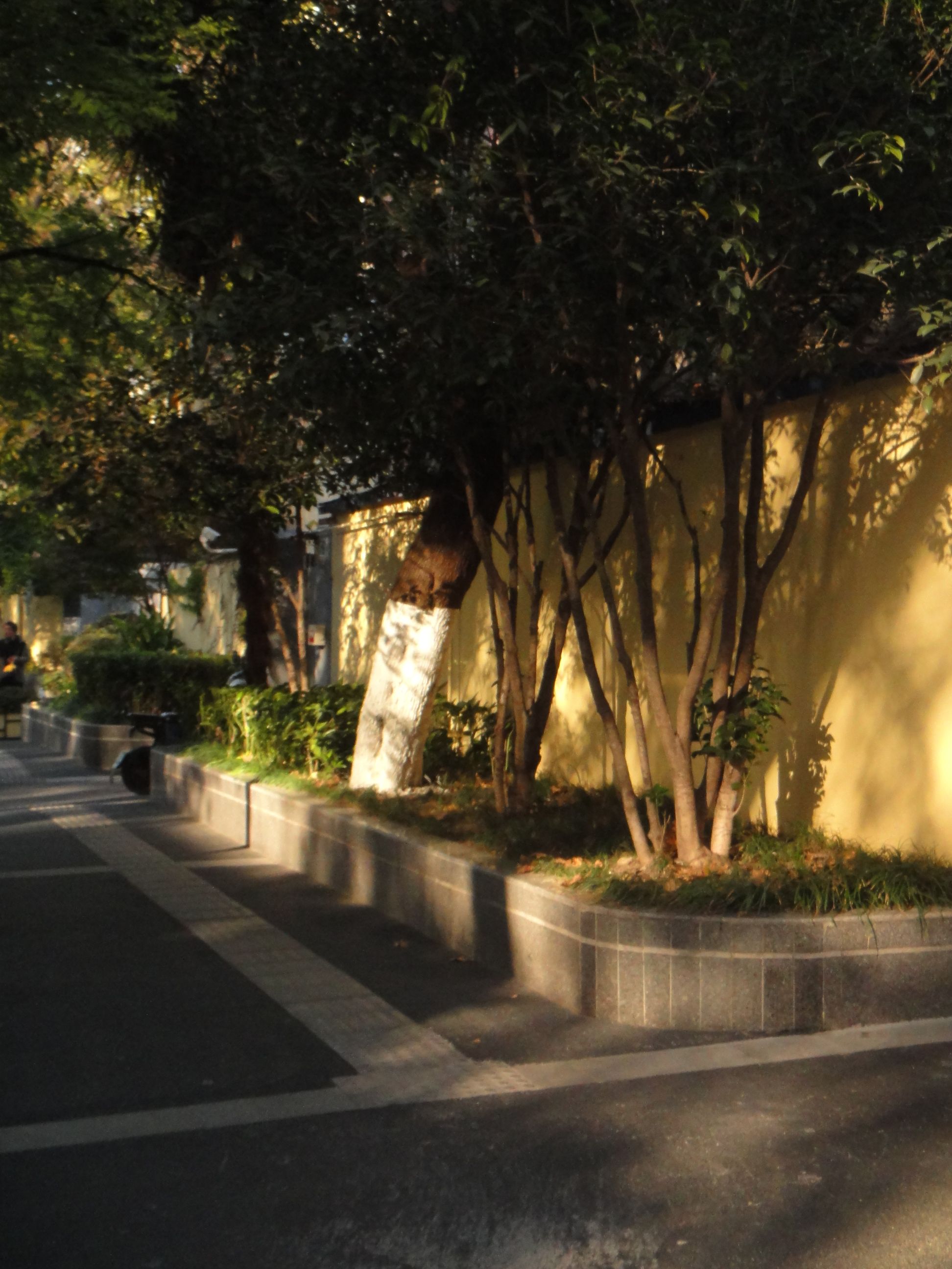 颐和路11号民国建筑旅行图片 3
