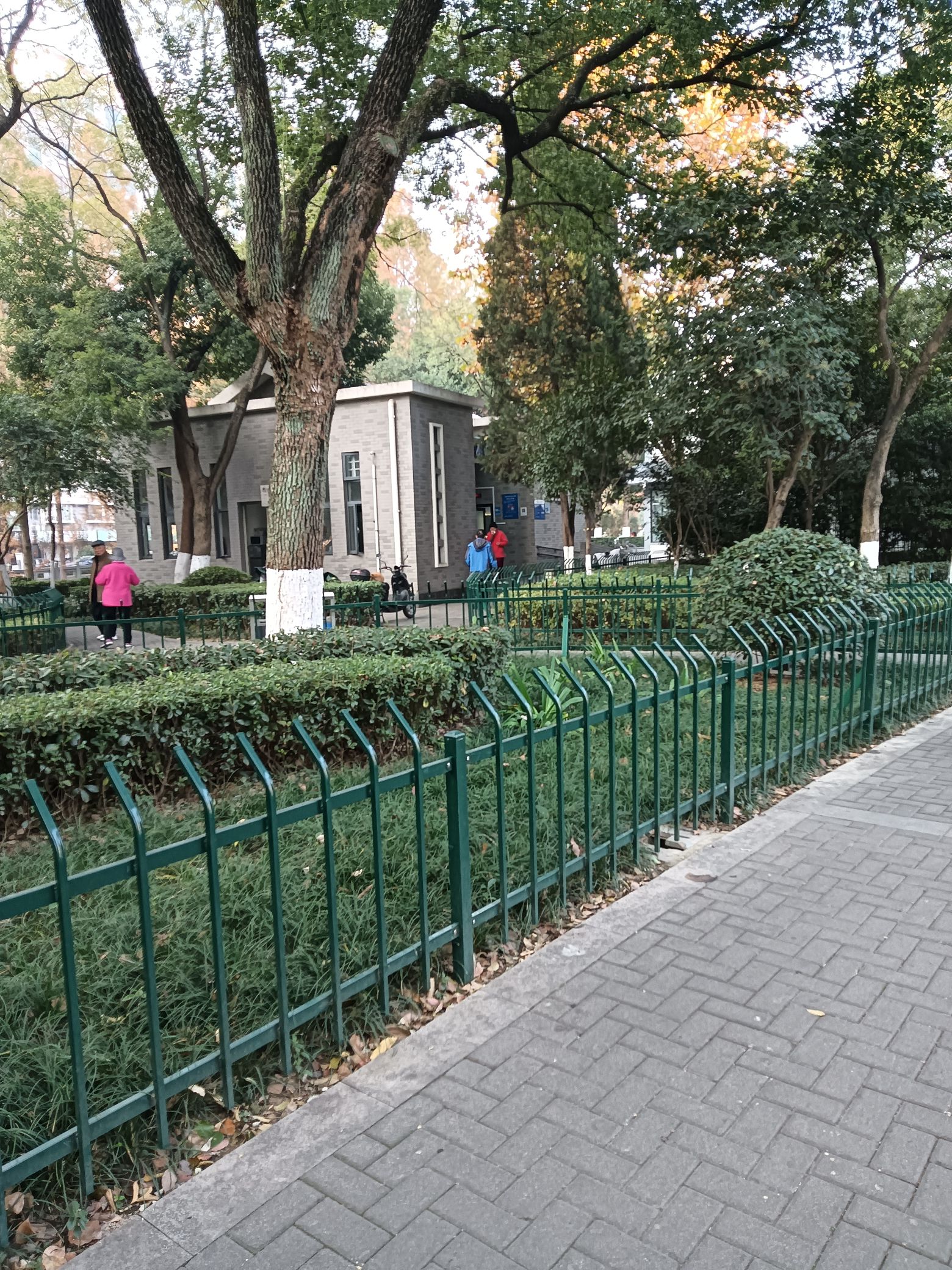 明御河公园旅行图片 2