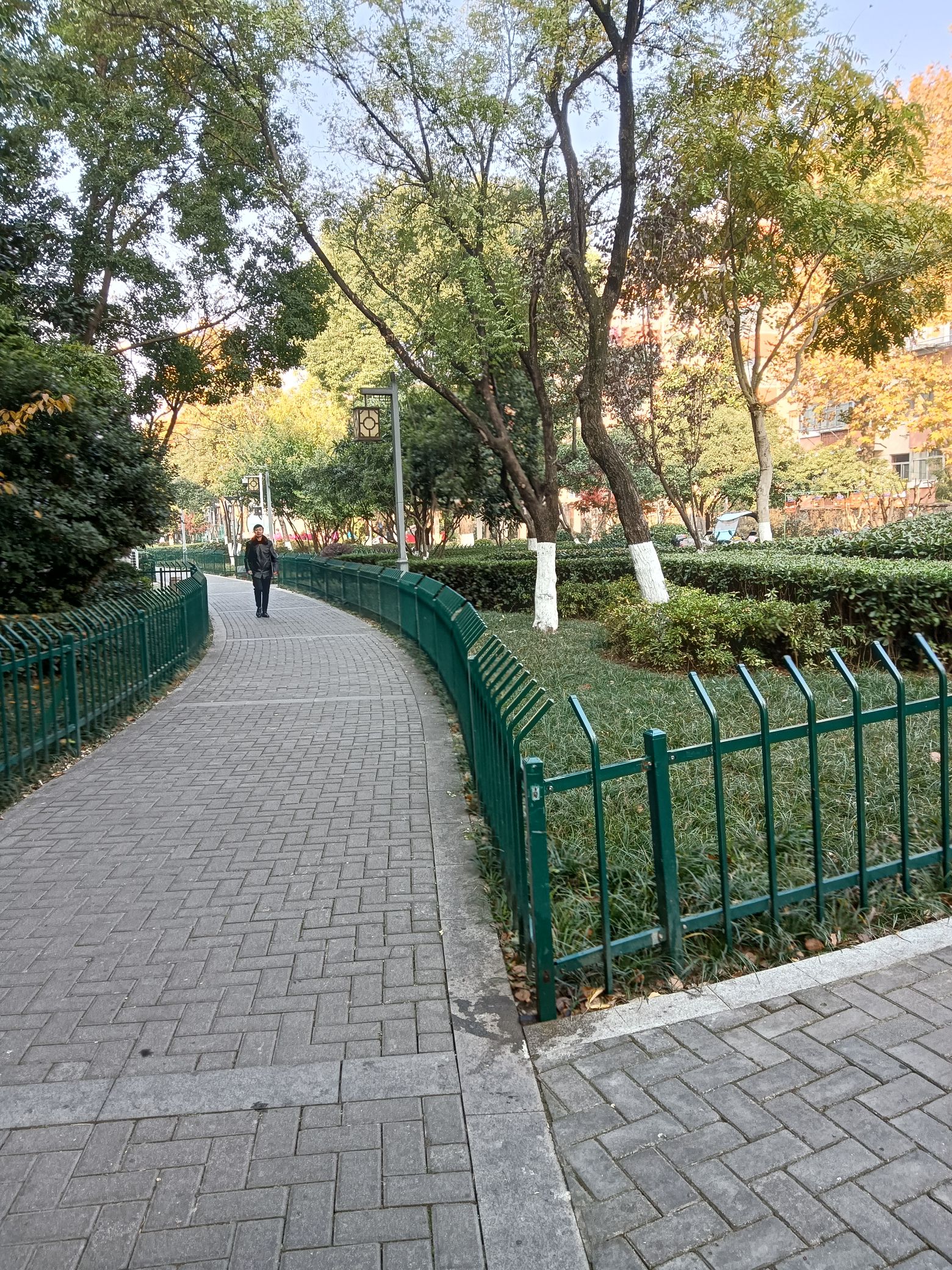 明御河公园旅行图片 1