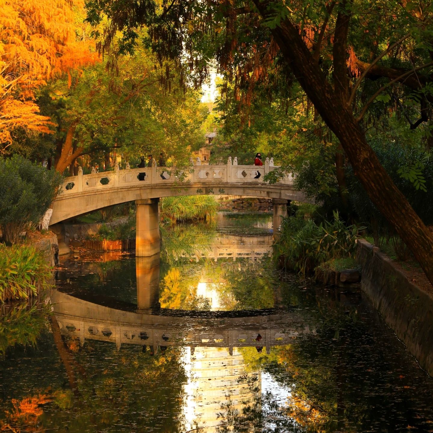 中山公园旅行图片 3