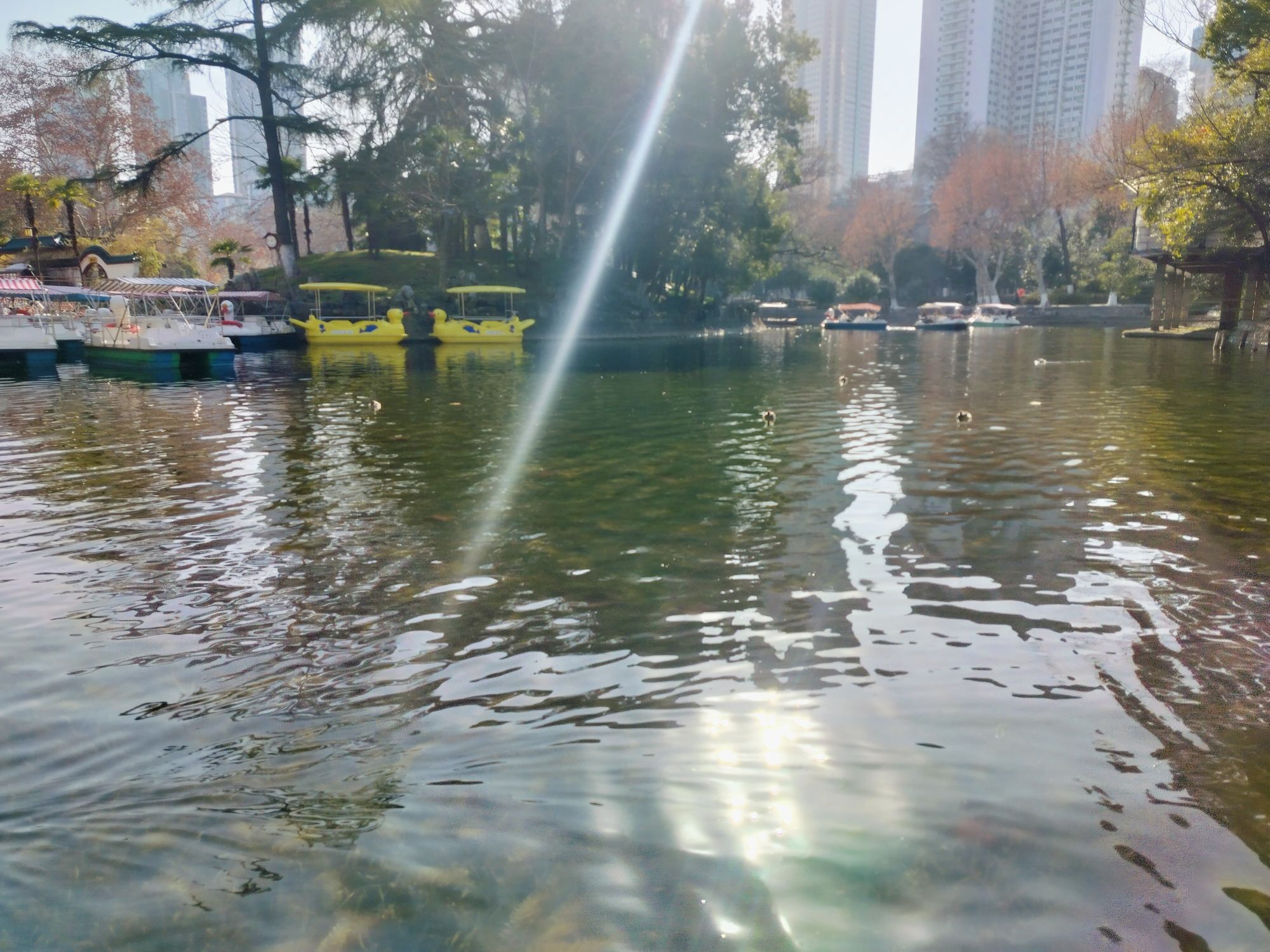 中山公园旅行图片 2