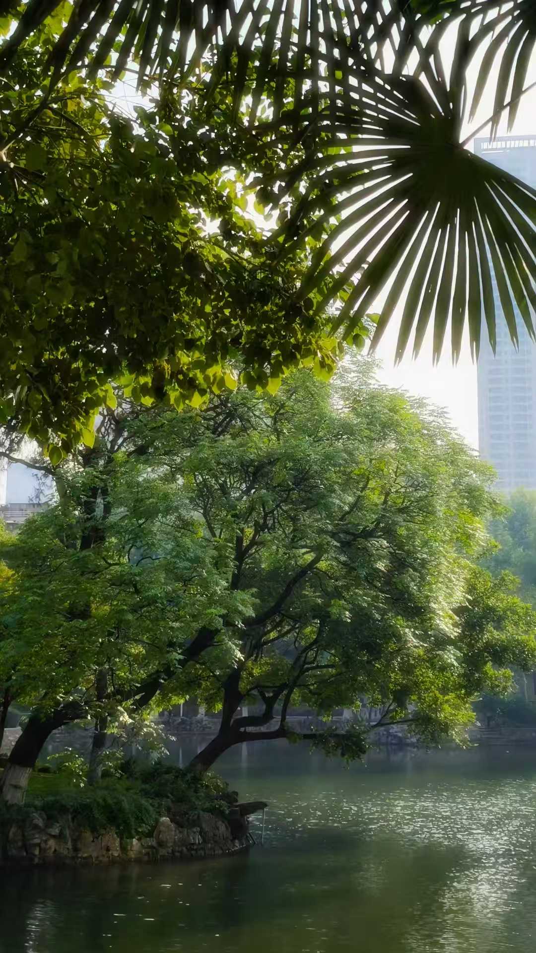 中山公园旅行图片 3