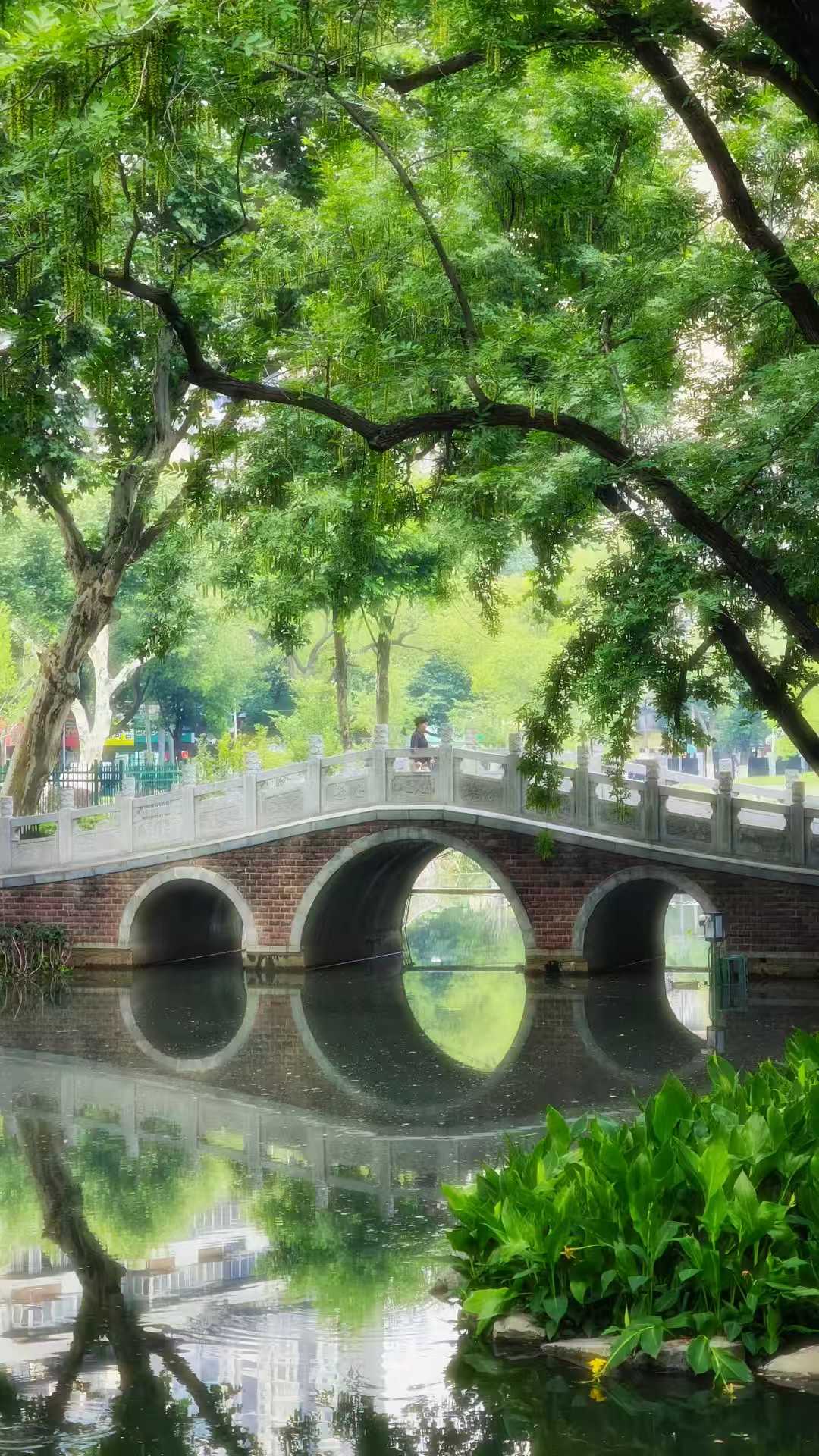 中山公园旅行图片 1
