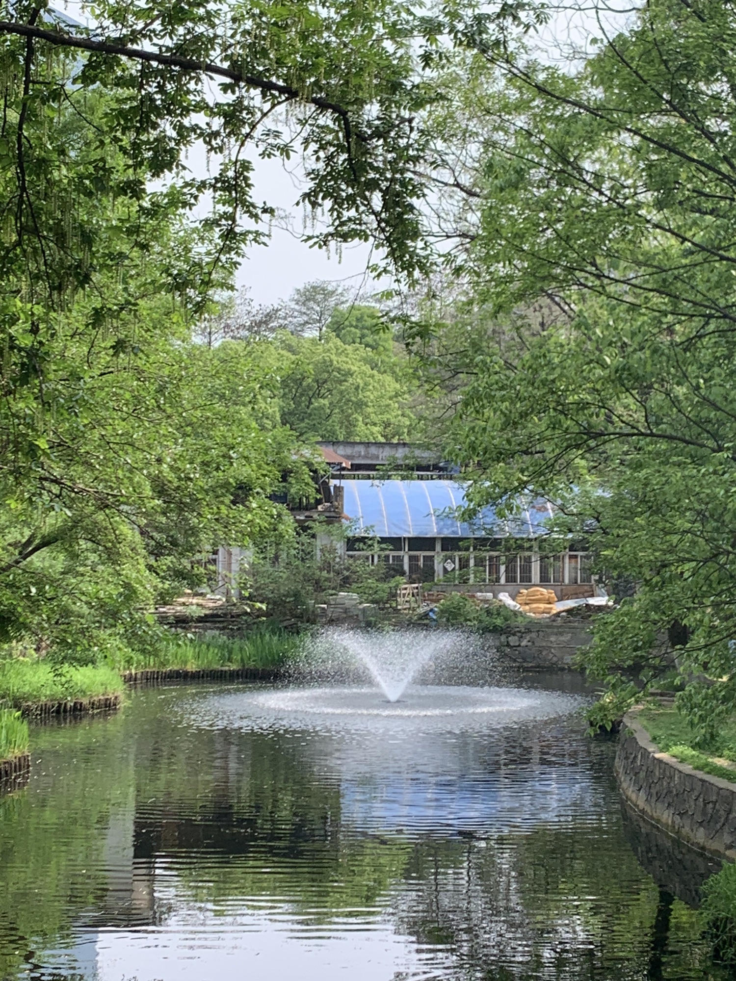 中山公园旅行图片 3