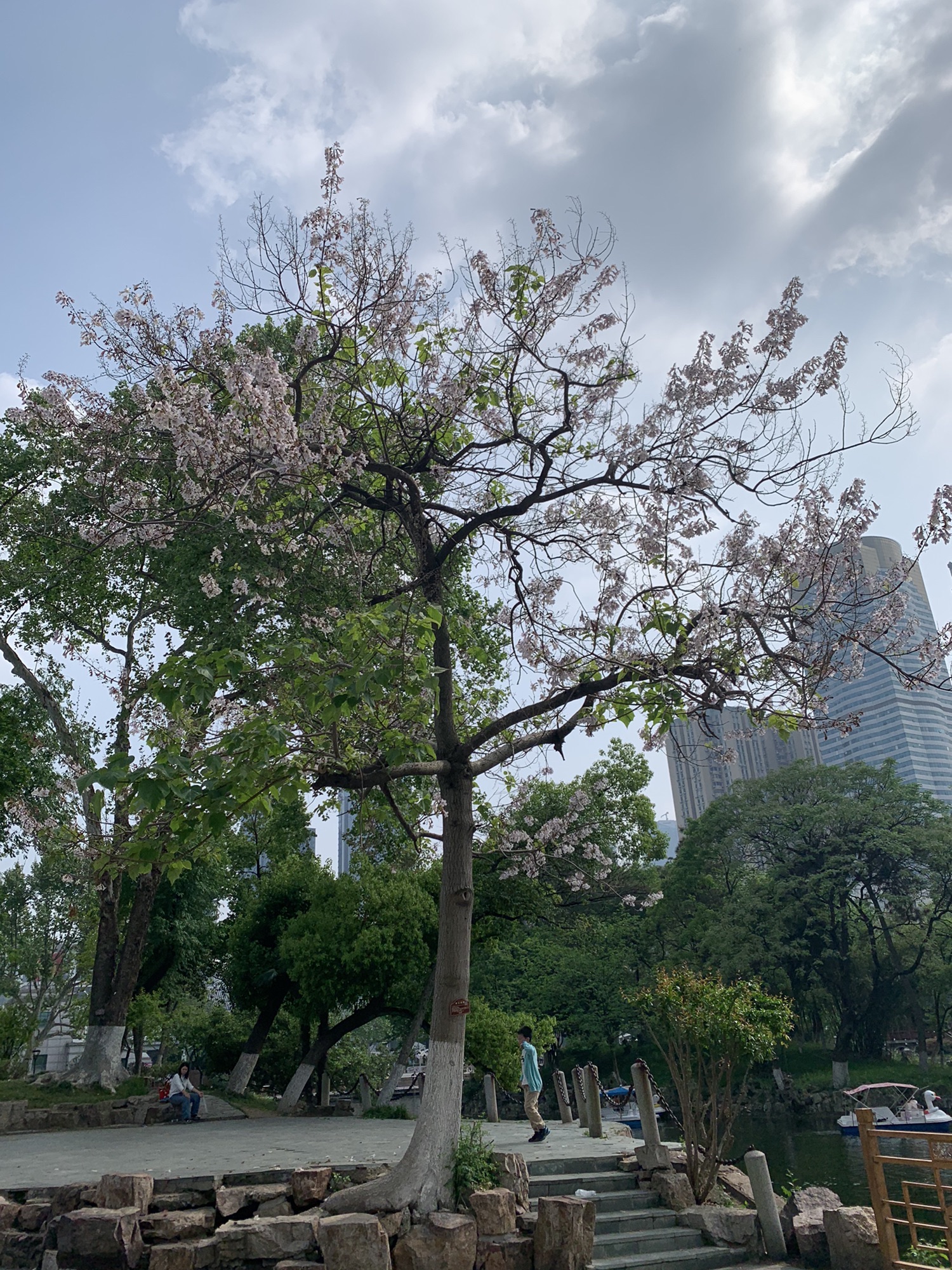 中山公园旅行图片 1