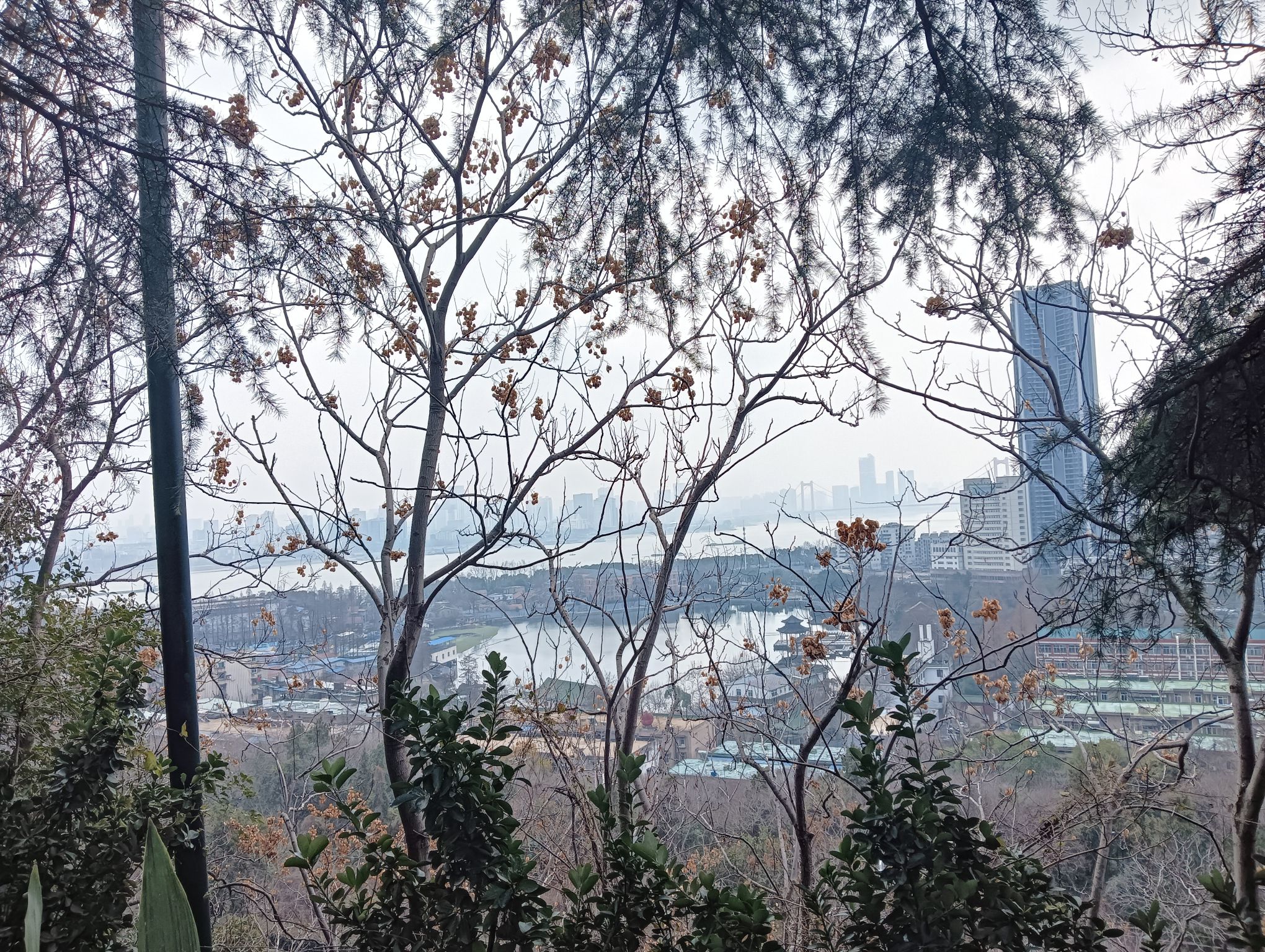 龟山风景区旅行图片 3