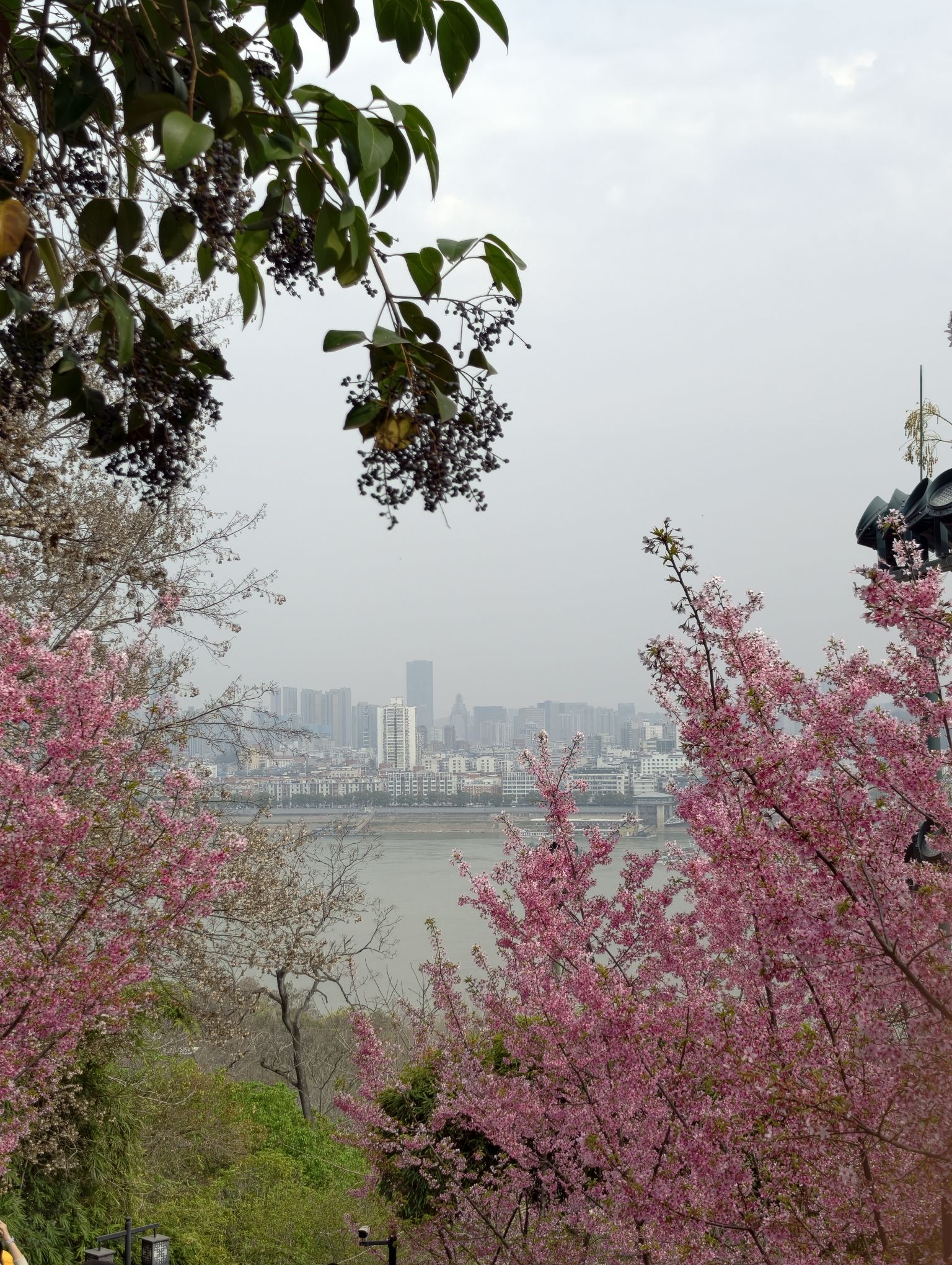 龟山风景区旅行图片 2