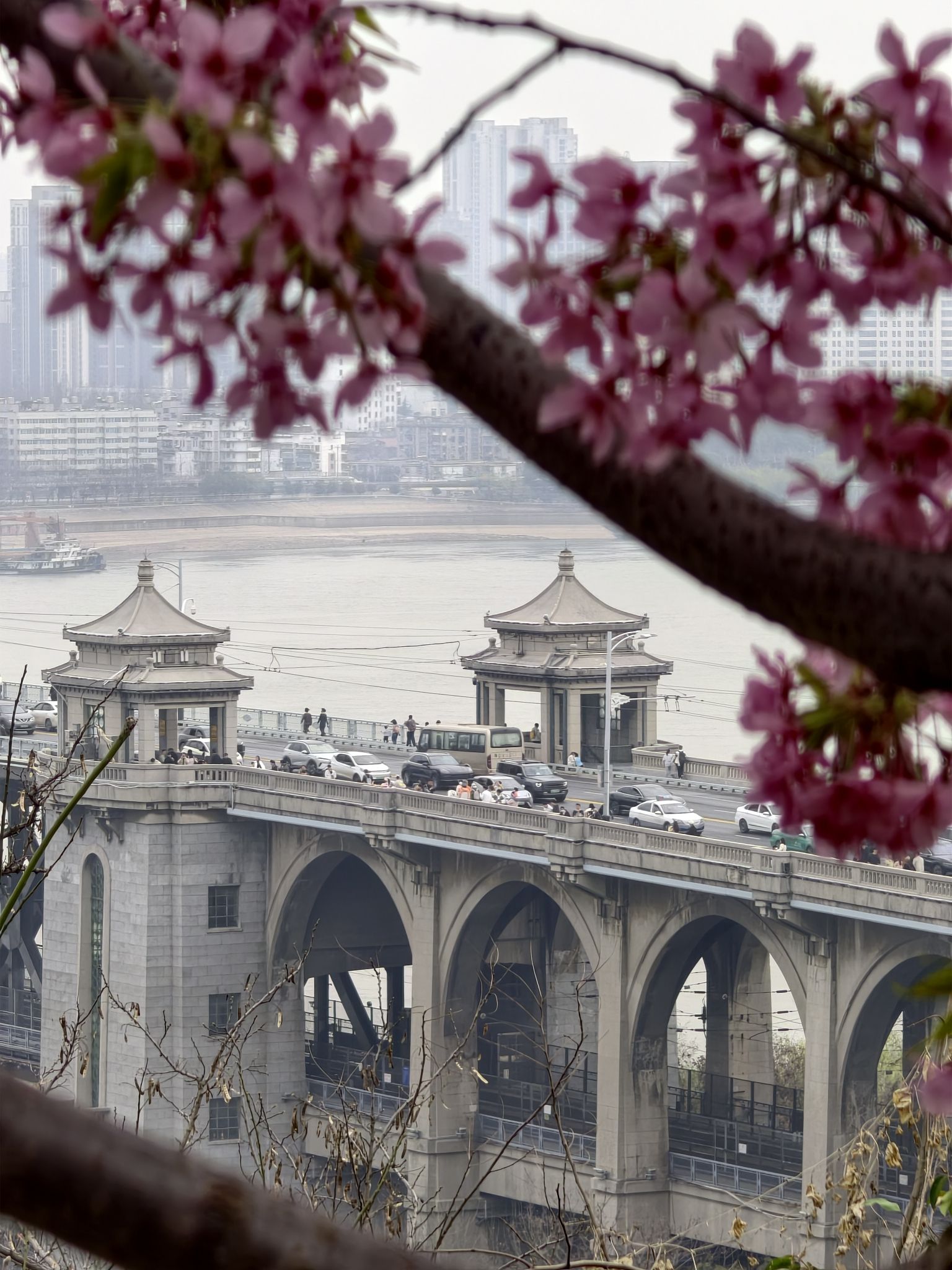 龟山风景区旅行图片 3