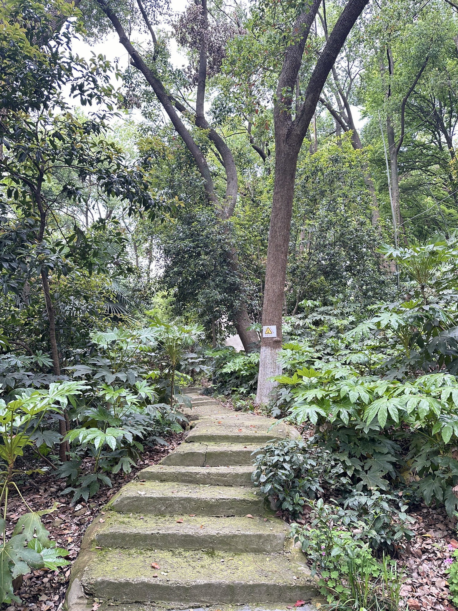 吴家山公园旅行图片 3