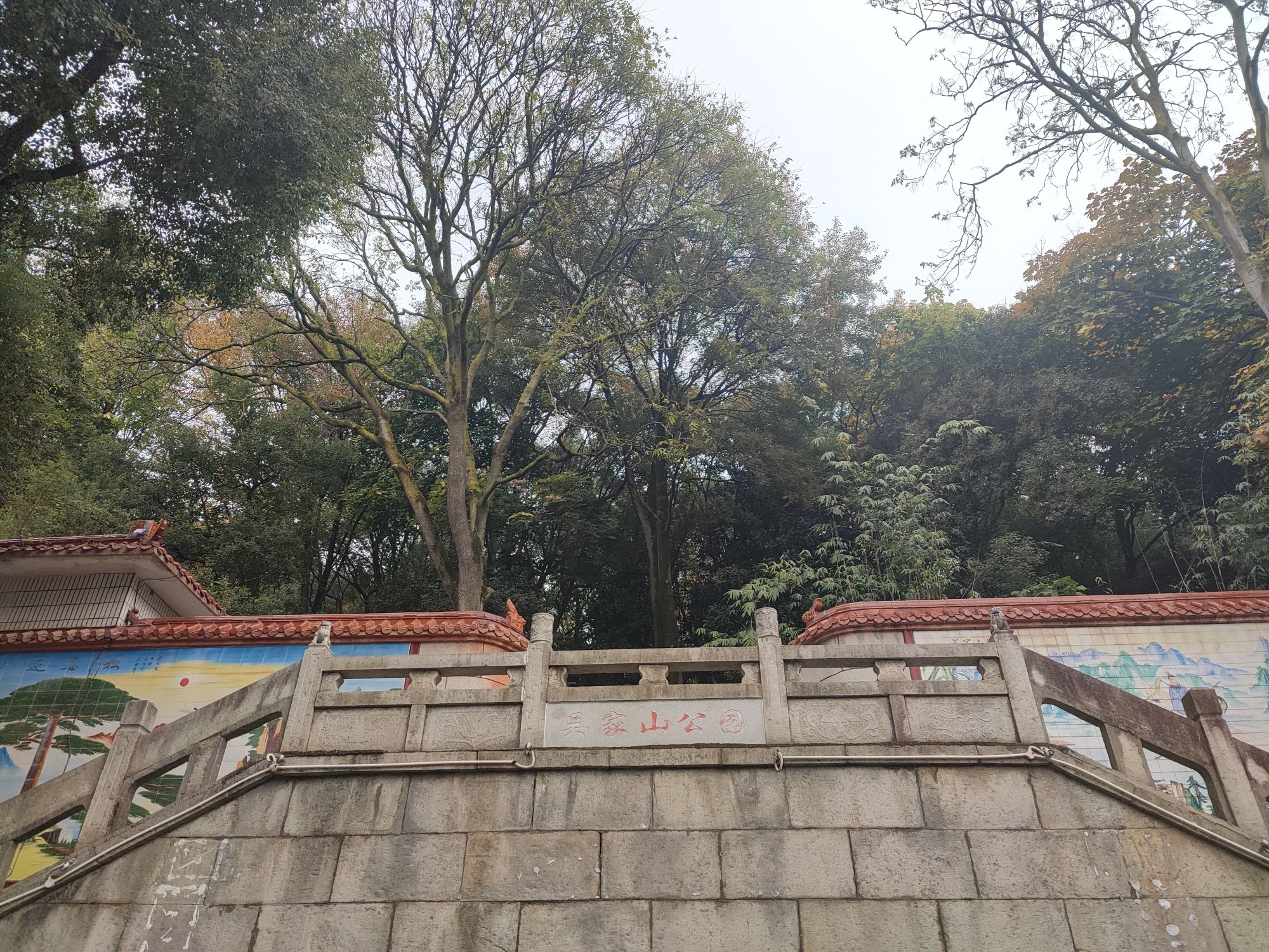 吴家山公园旅行图片 1