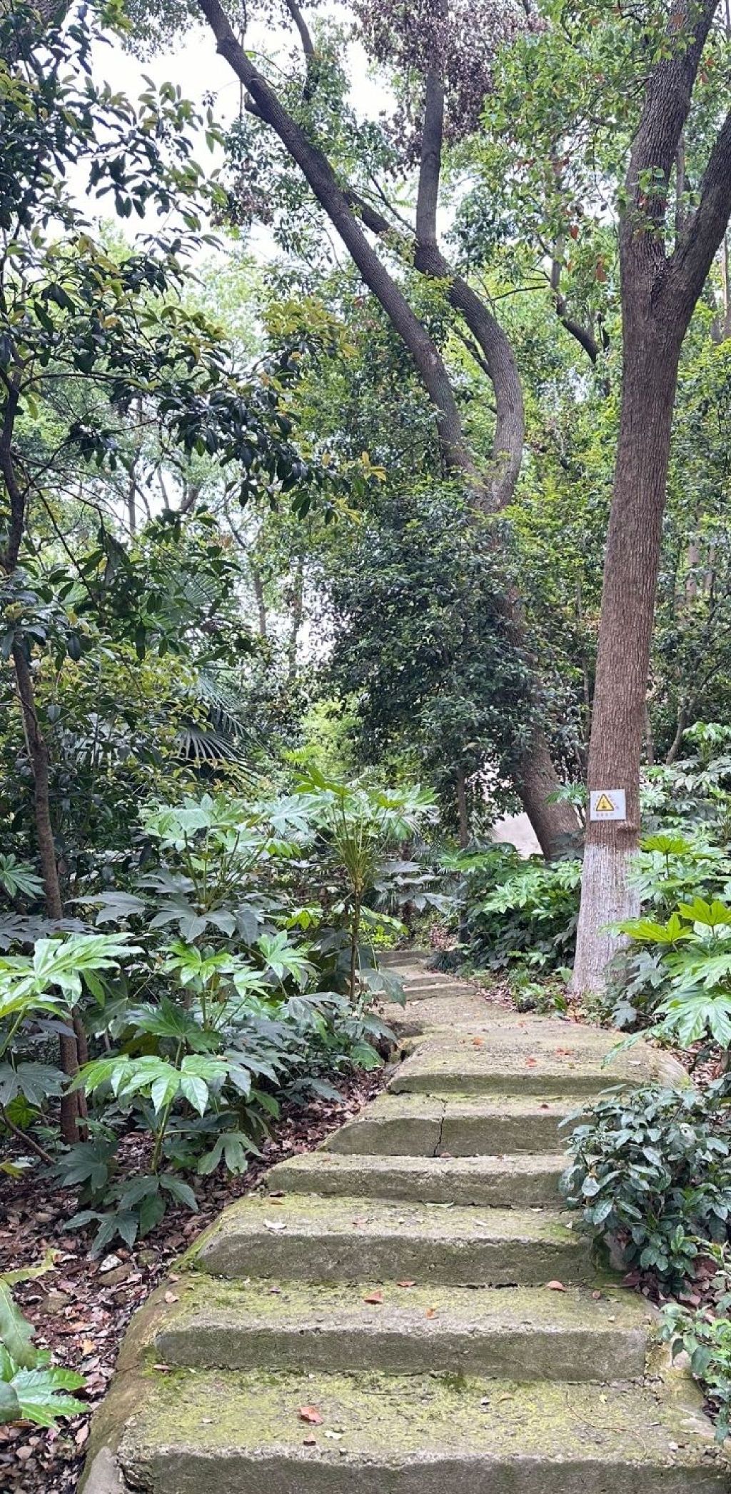 吴家山公园旅行图片 1