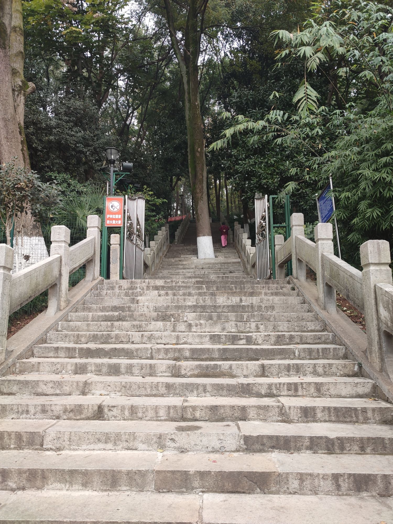 吴家山公园旅行图片 2