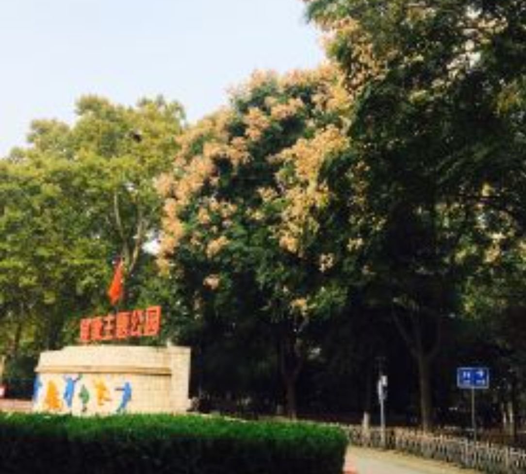 硚口公园旅行图片 3
