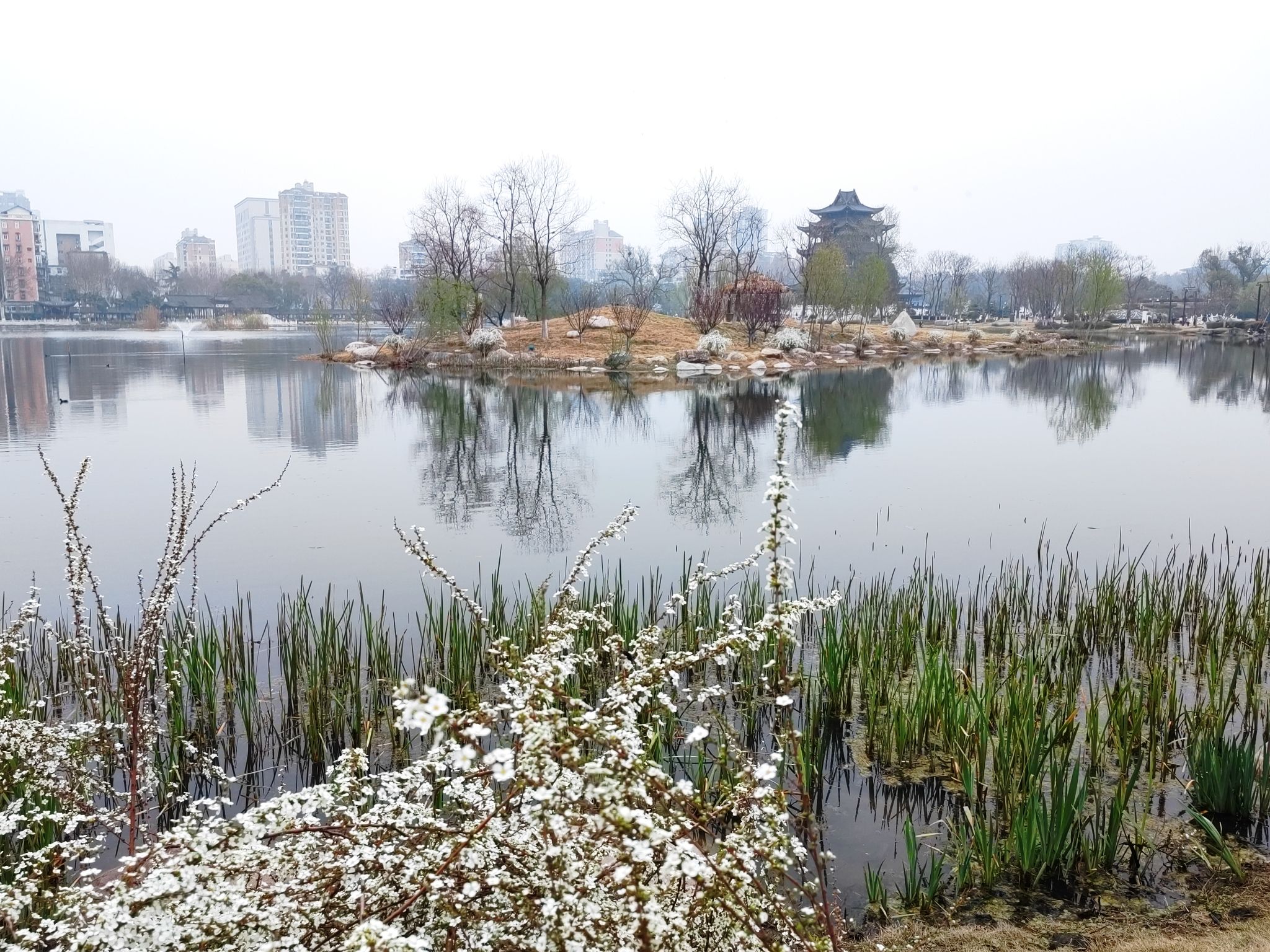 紫阳公园旅行图片 3