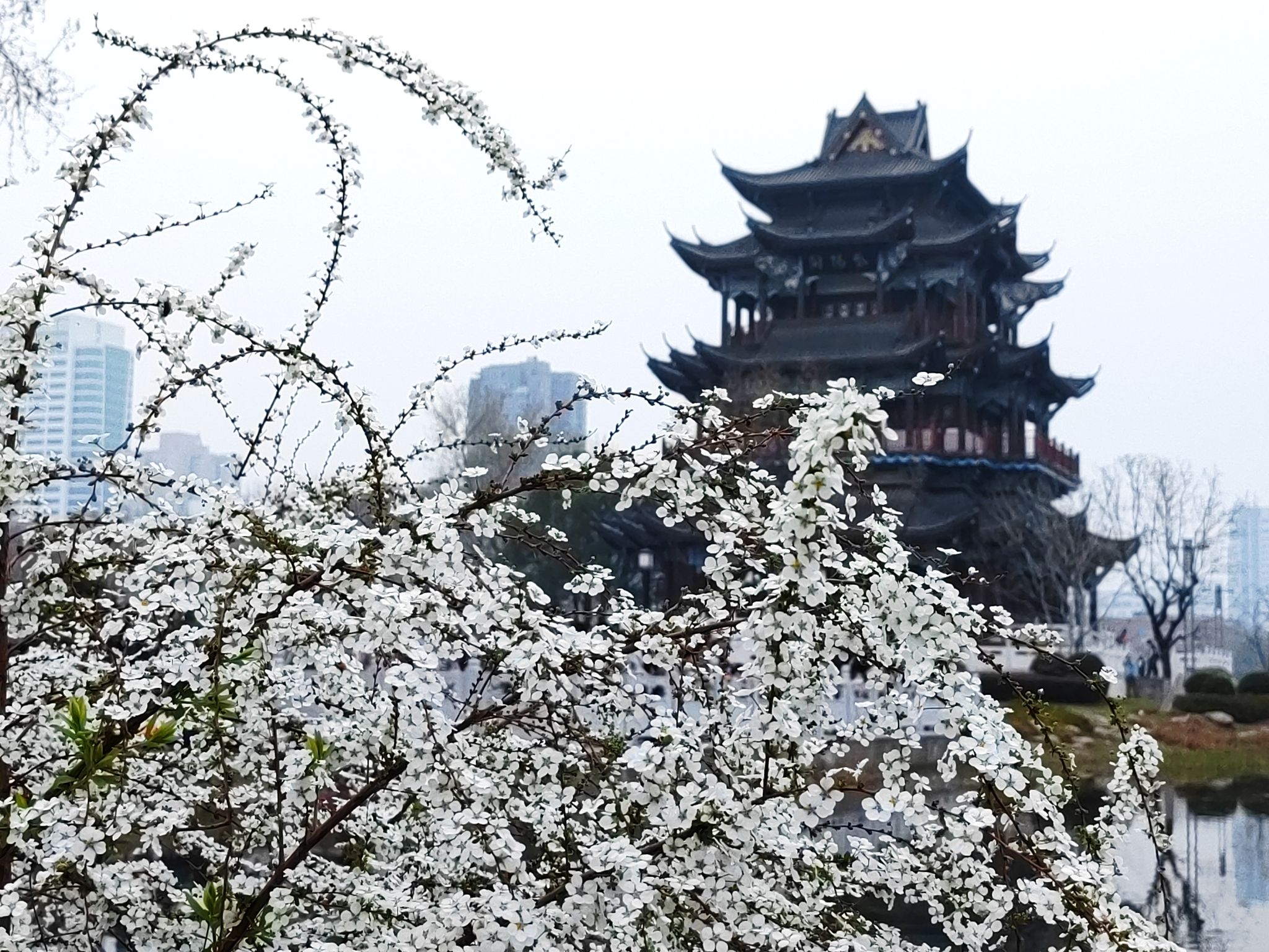 紫阳公园旅行图片 1