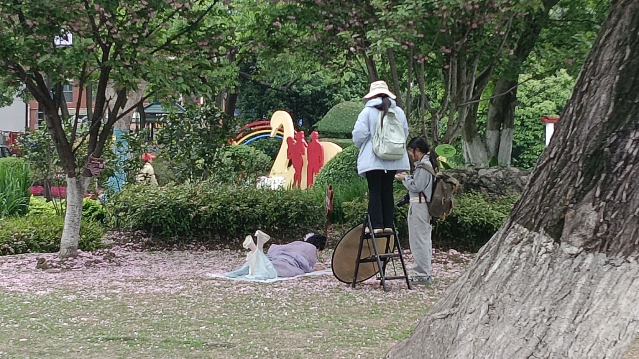 紫阳公园旅行图片 1