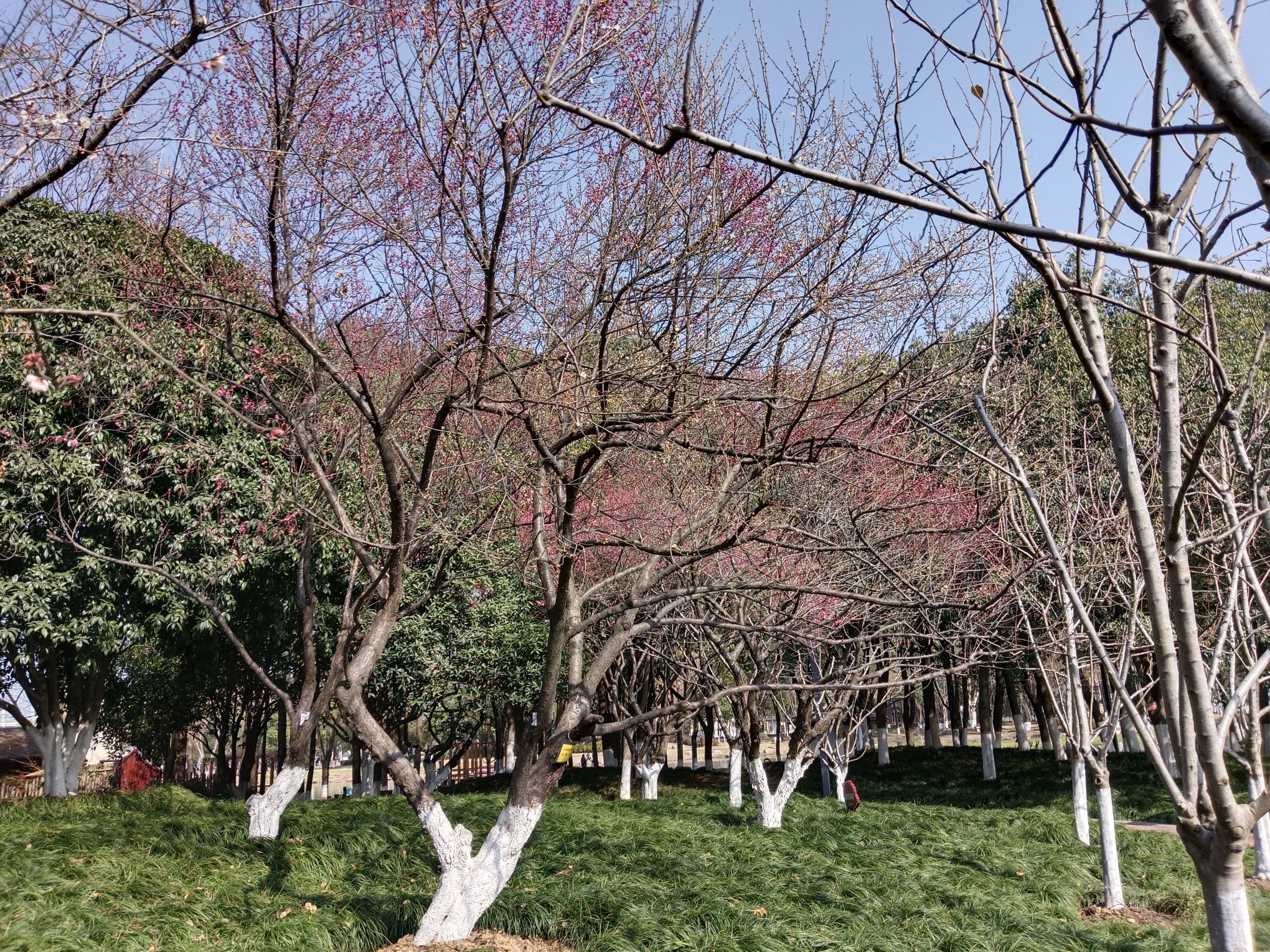 紫阳公园旅行图片 3