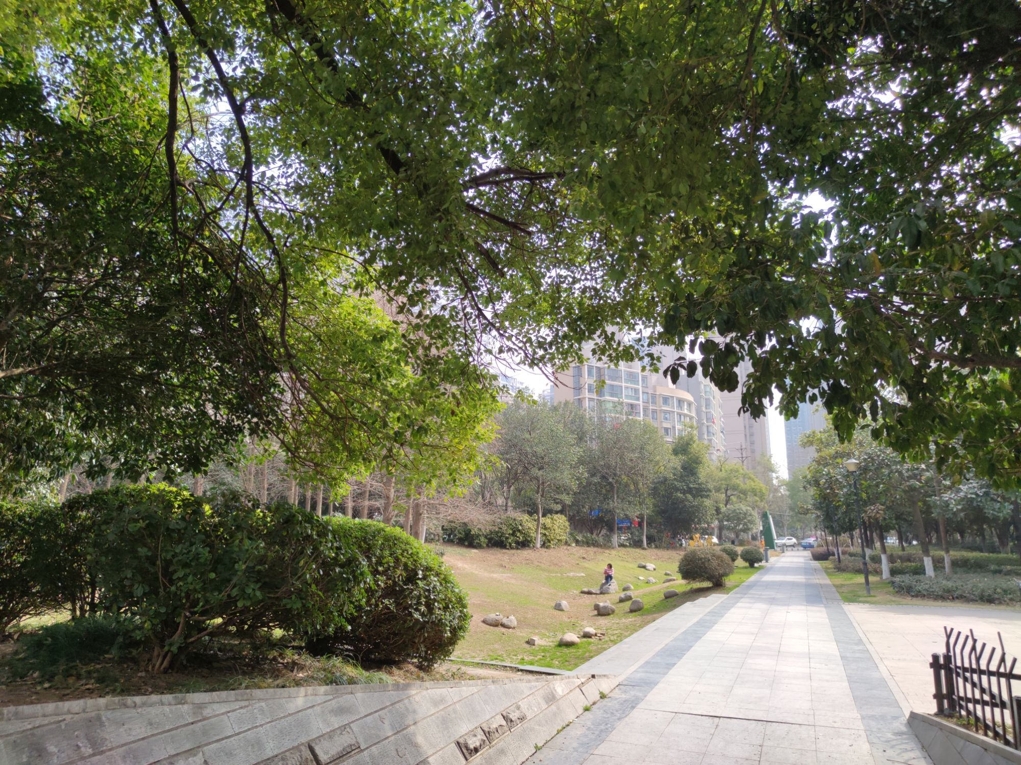百步亭游园旅行图片 3