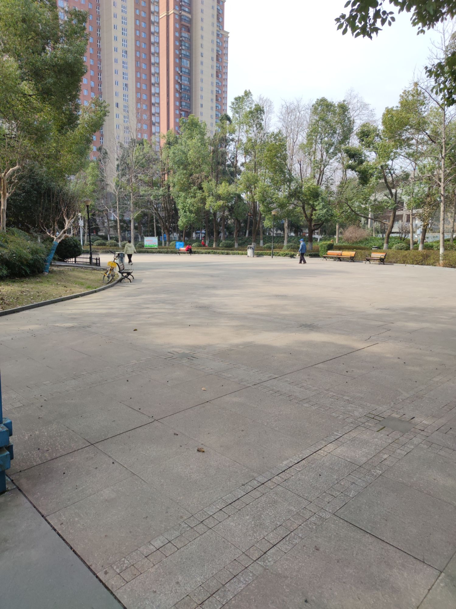 百步亭游园旅行图片 2