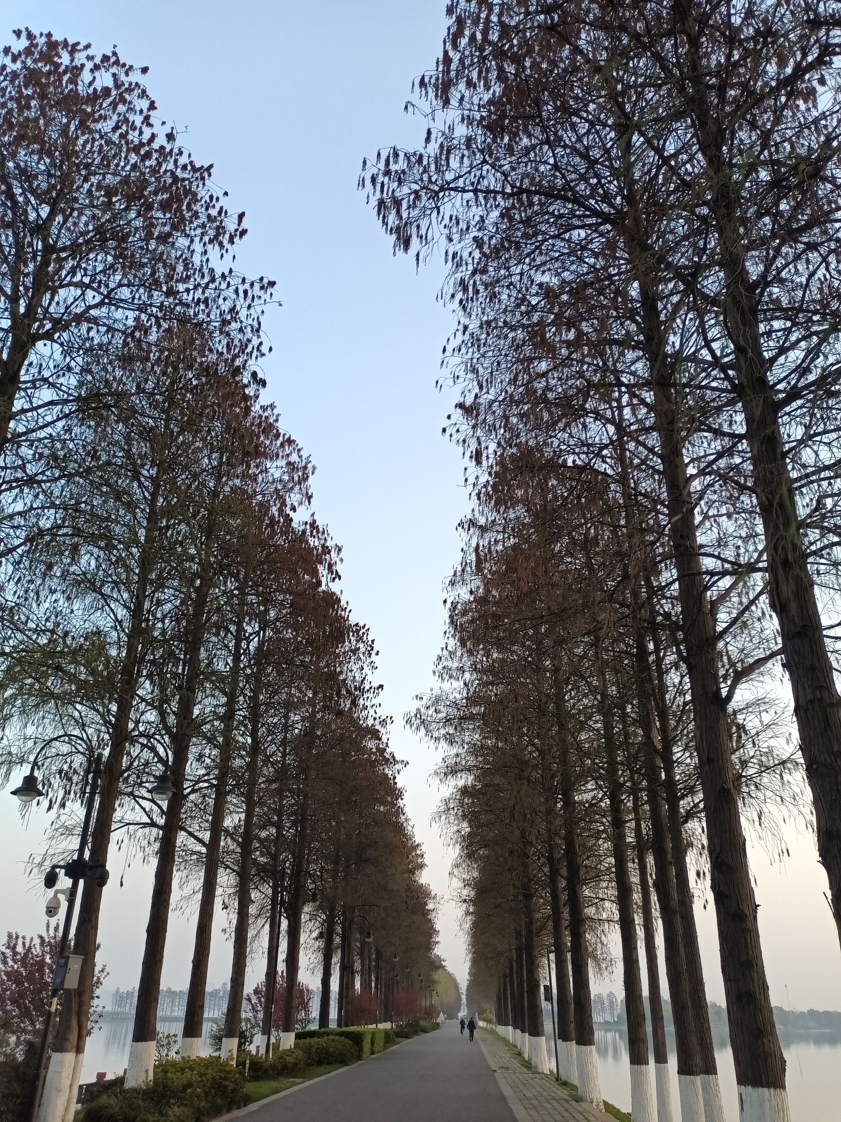 东湖生态旅游风景区-东湖生态园