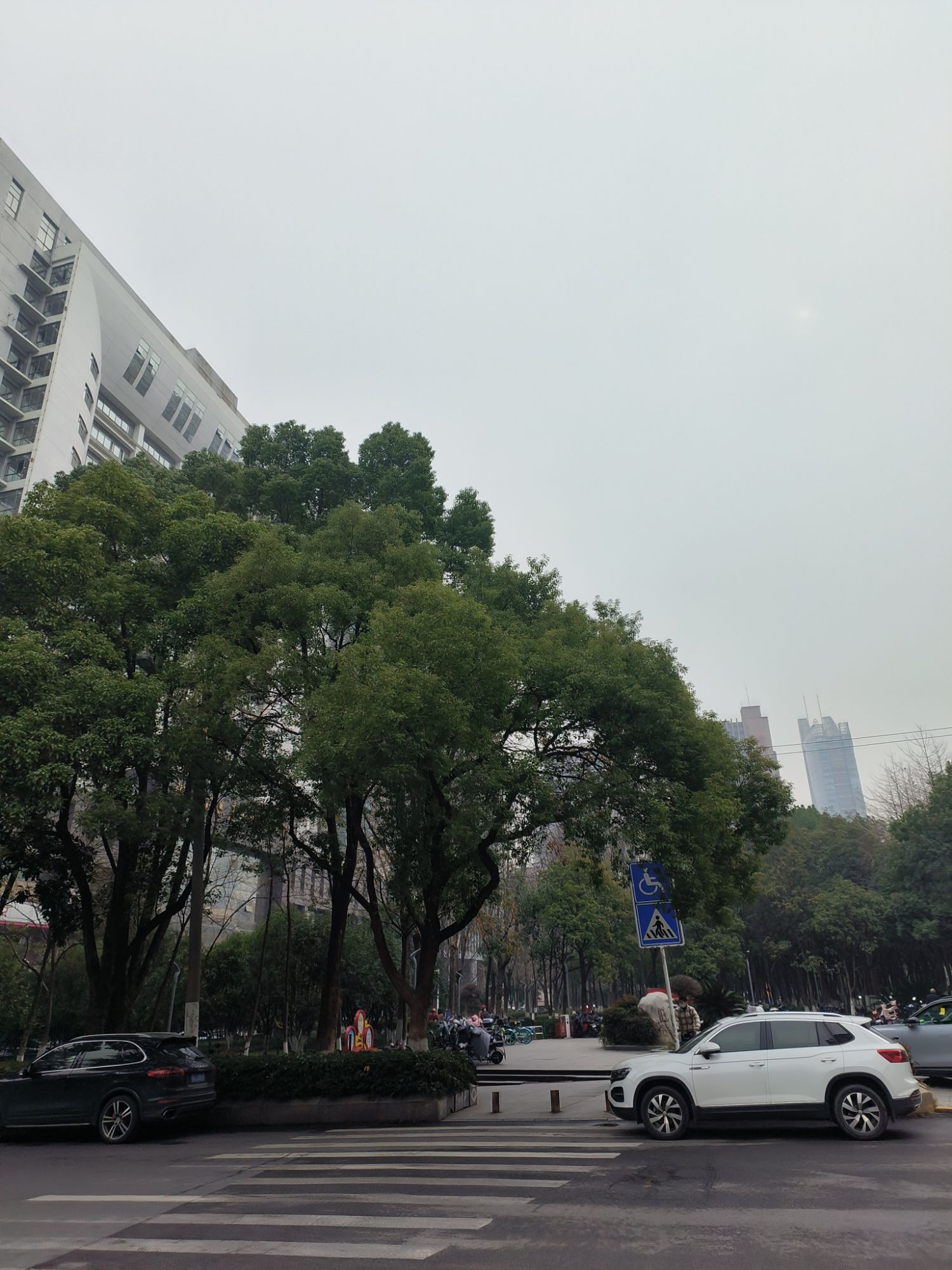 旺山公园旅行图片