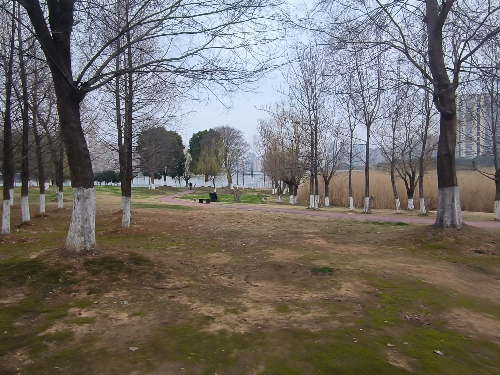 东湖生态旅游风景区旅行图片 2