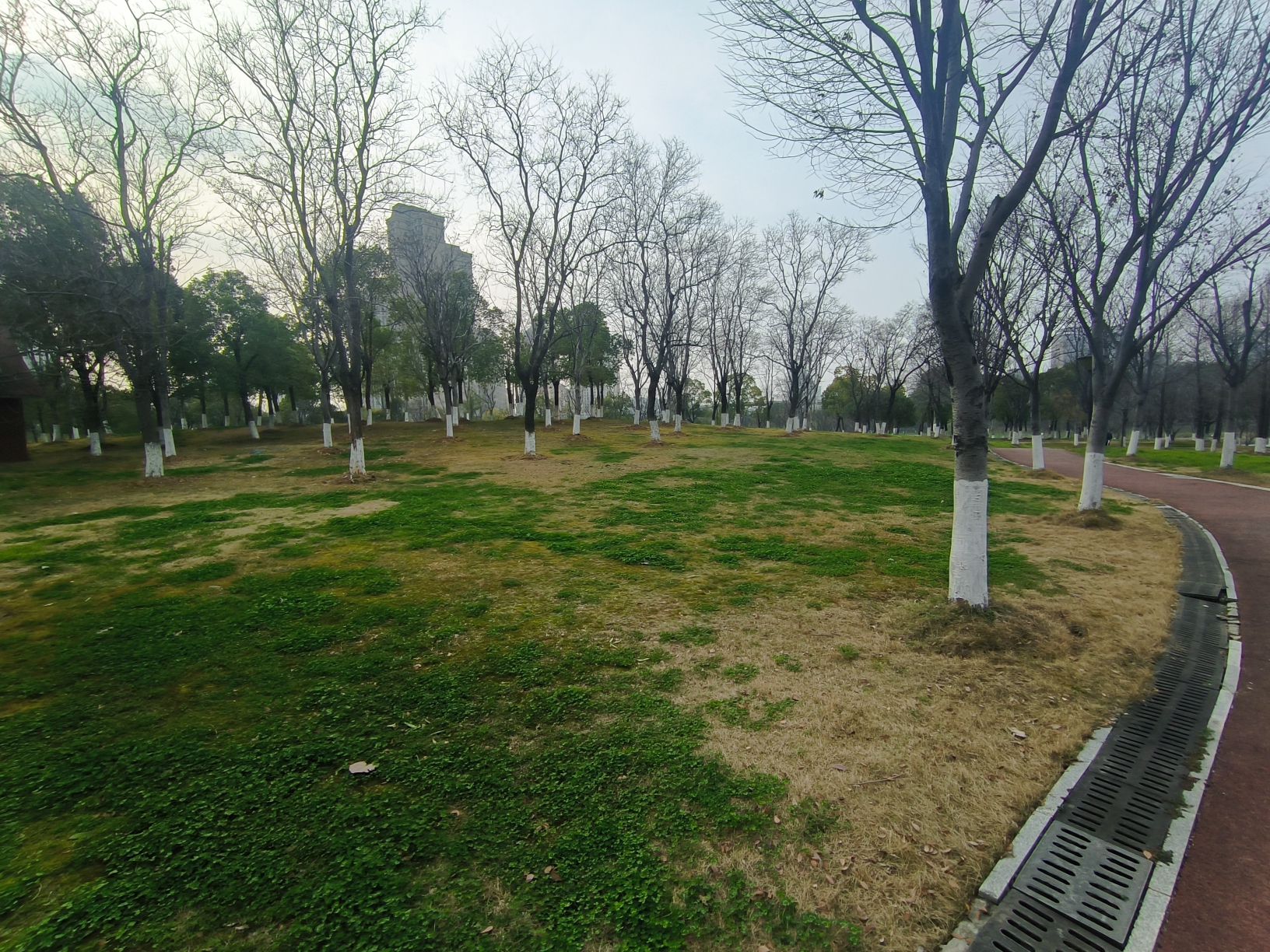 东湖生态旅游风景区旅行图片 1