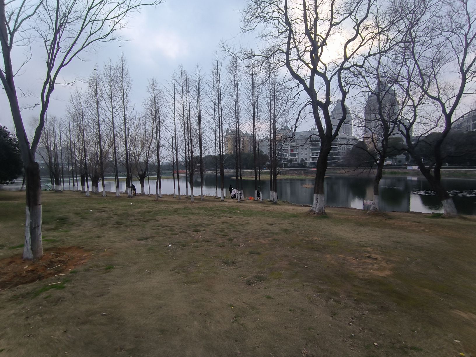 东湖生态旅游风景区旅行图片 3