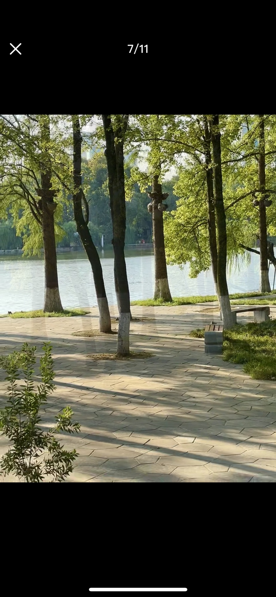 东湖生态旅游风景区旅行图片 2