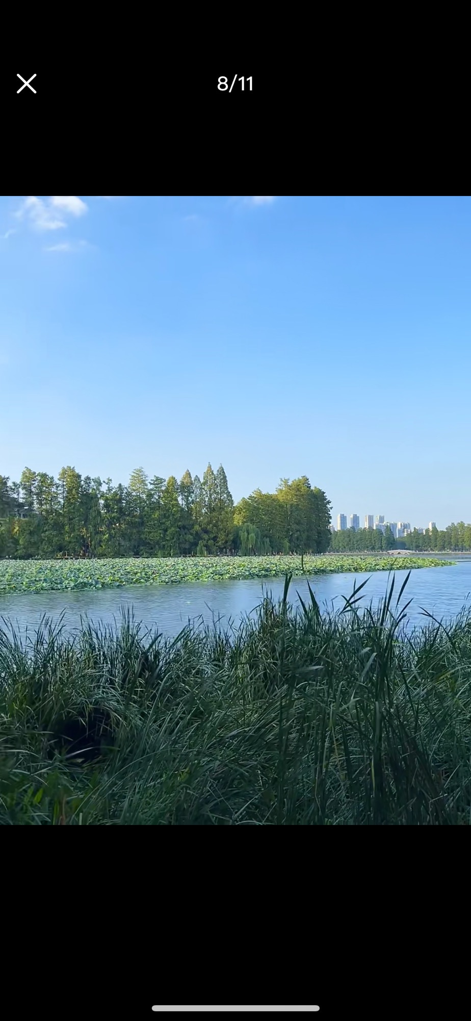 东湖生态旅游风景区旅行图片 1