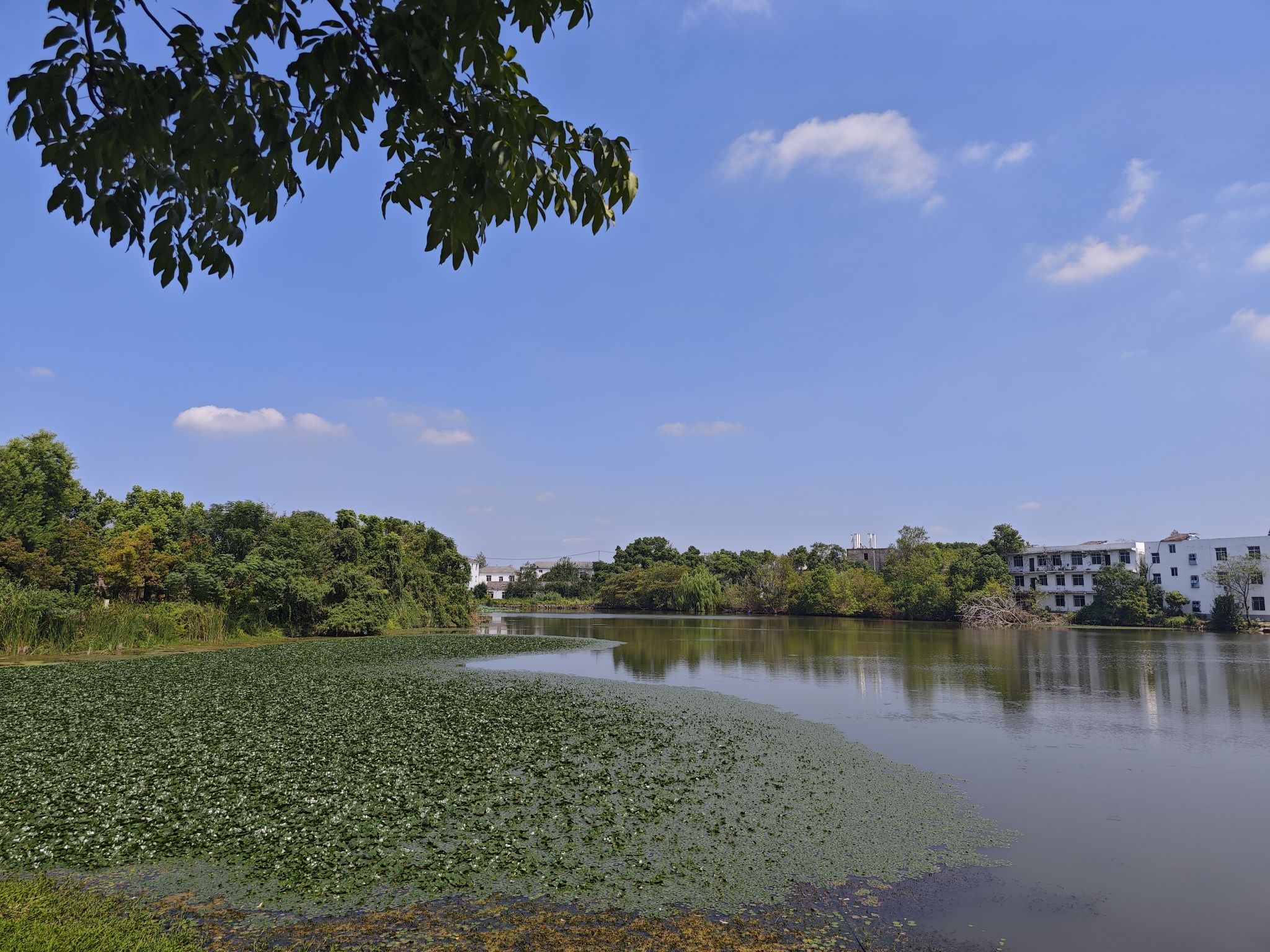 东湖生态旅游风景区旅行图片 1