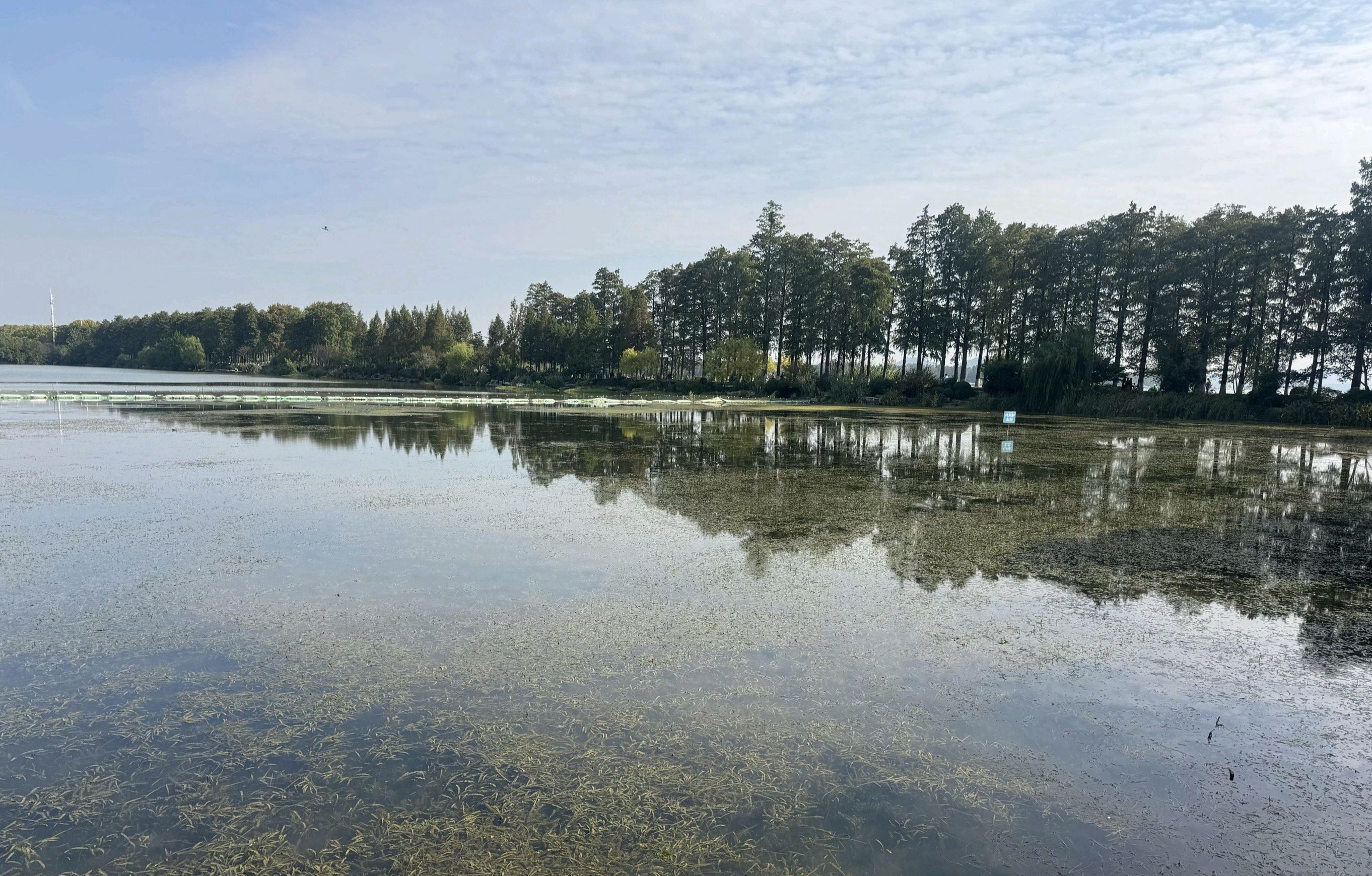 东湖生态旅游风景区旅行图片 2