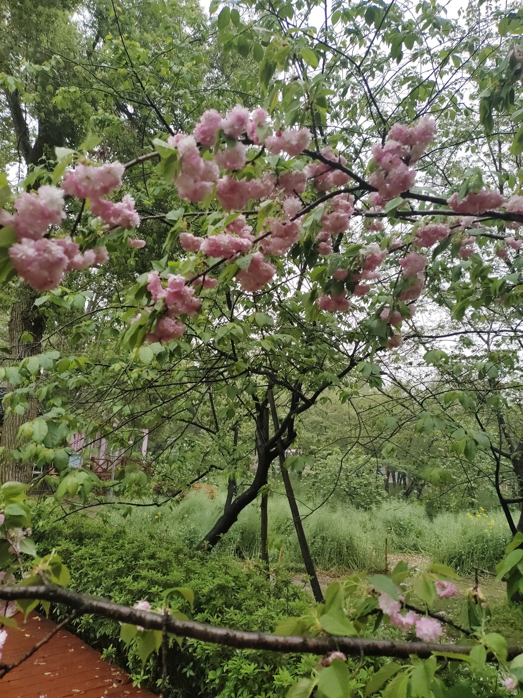 东湖生态旅游风景区旅行图片 1