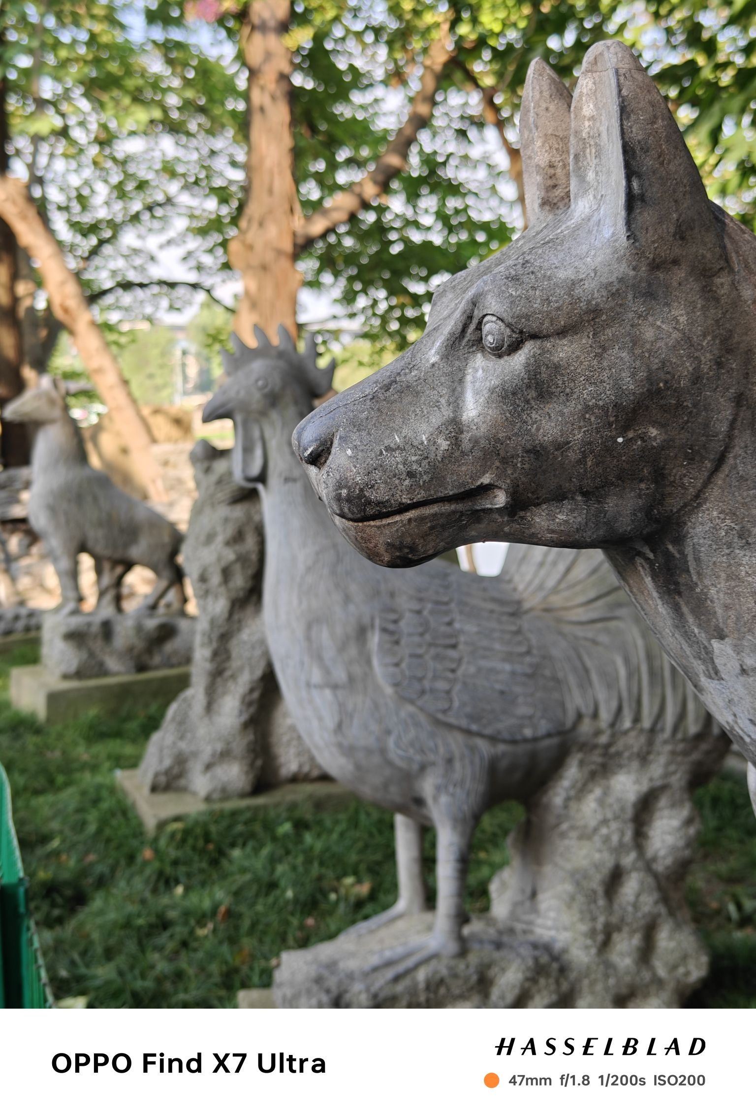 莲花湖公园旅行图片 3