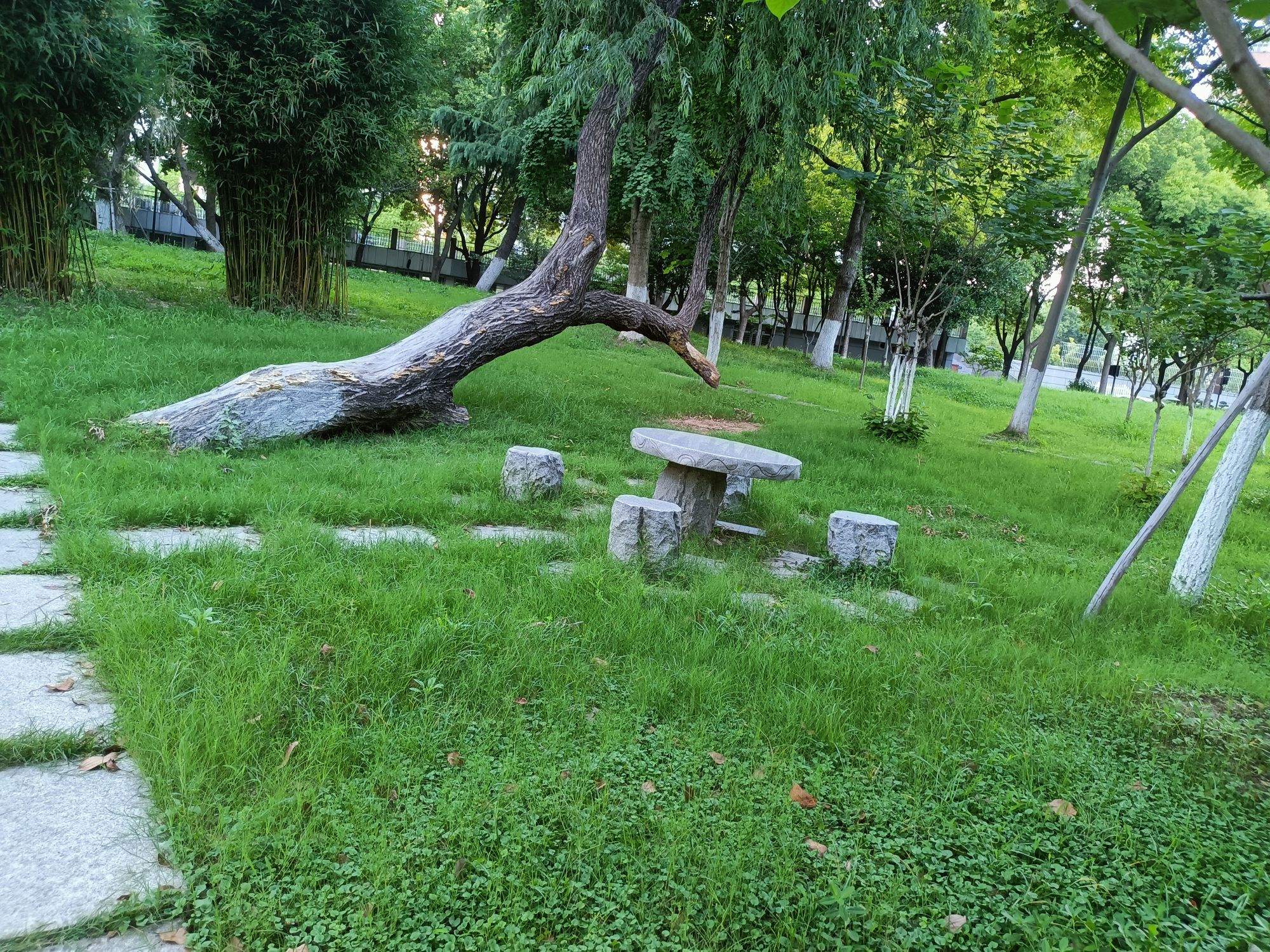 莲花湖公园旅行图片 1