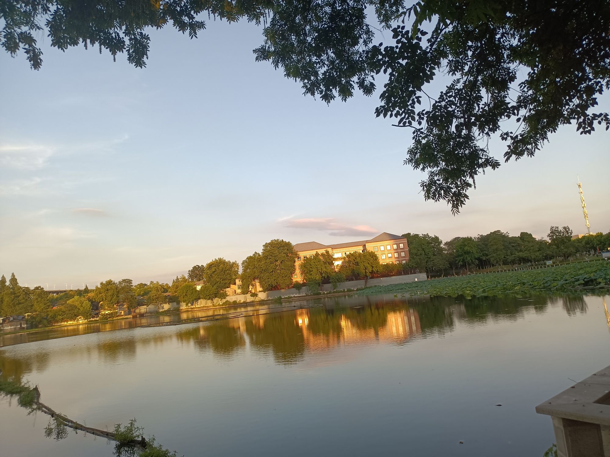 莲花湖公园旅行图片 2