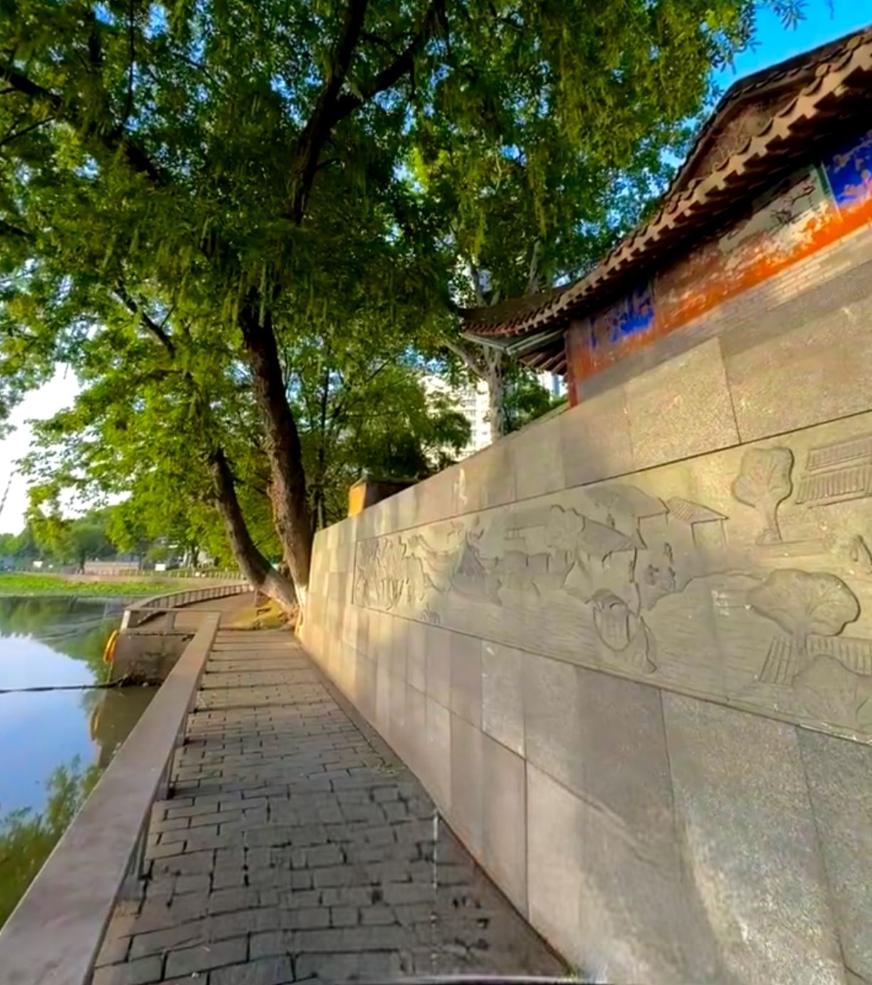 莲花湖公园旅行图片 1