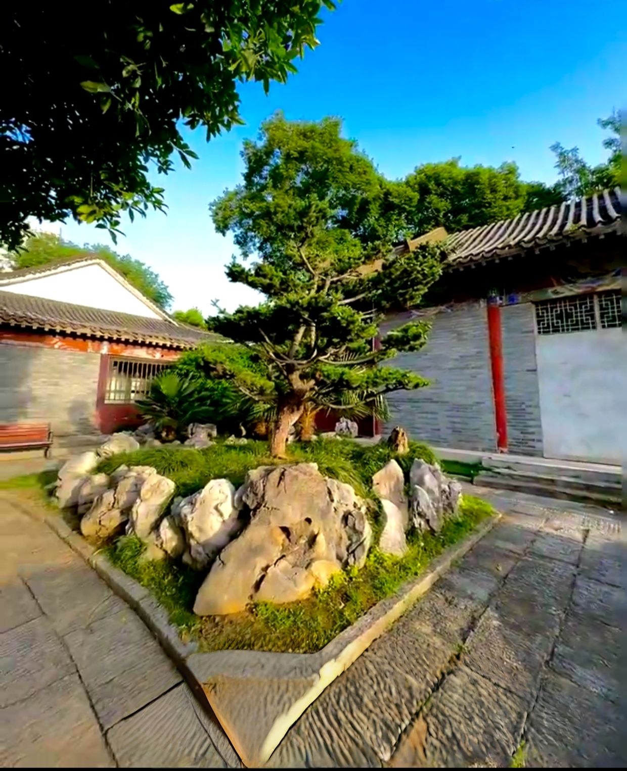 莲花湖公园旅行图片 3