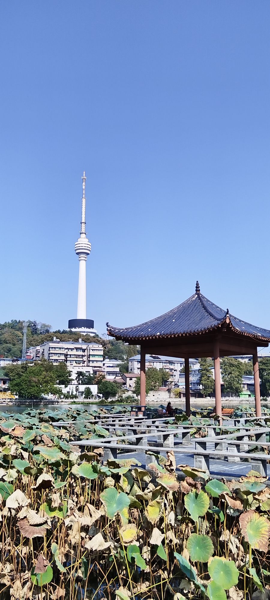 莲花湖公园旅行图片 2