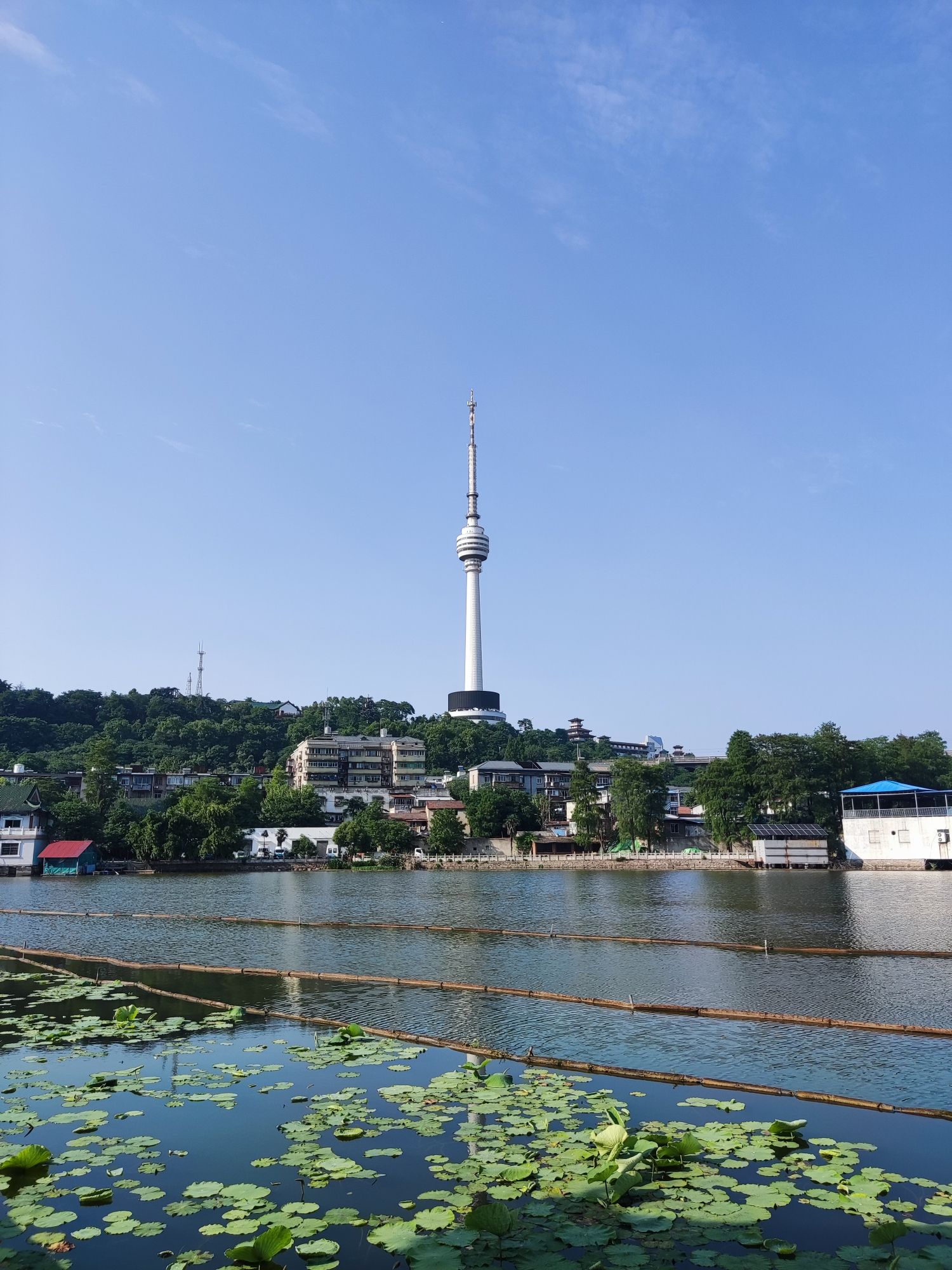 莲花湖公园旅行图片 3