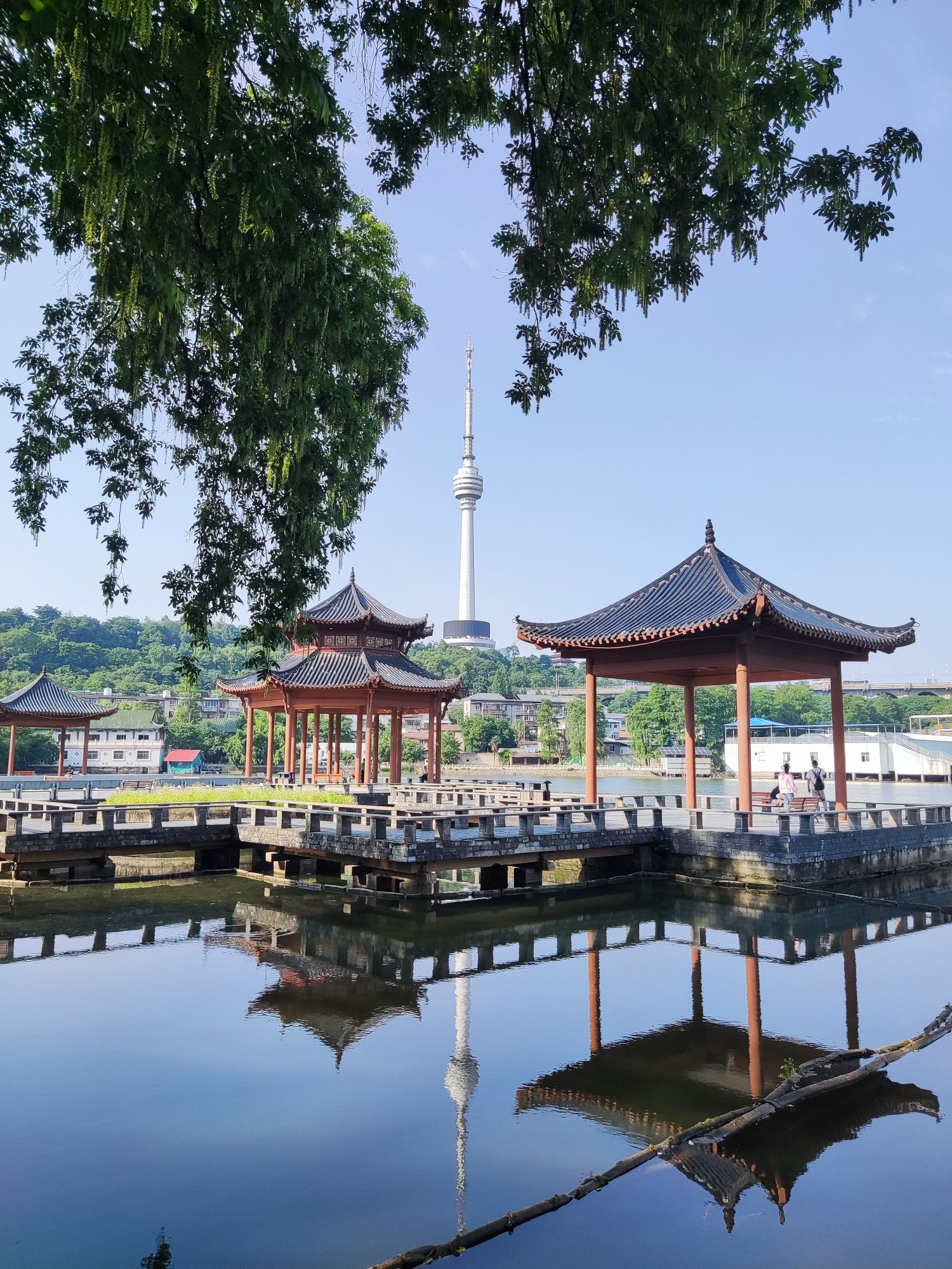 莲花湖公园旅行图片 1