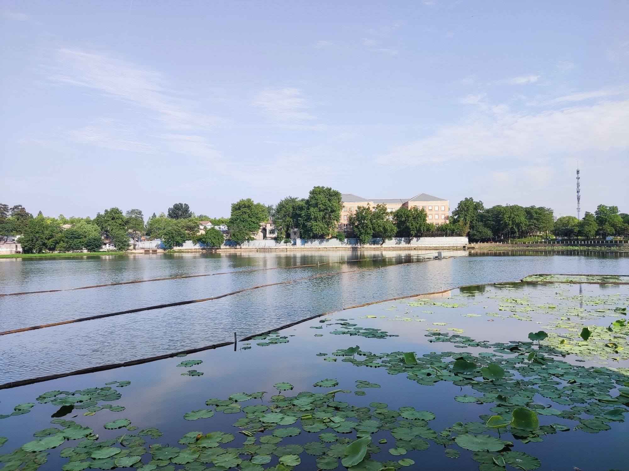 莲花湖公园旅行图片 2